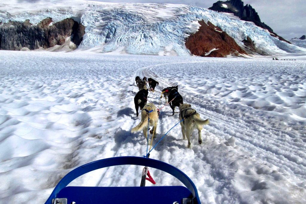 Dogsledding on Mendenhall Glacier in Alaska