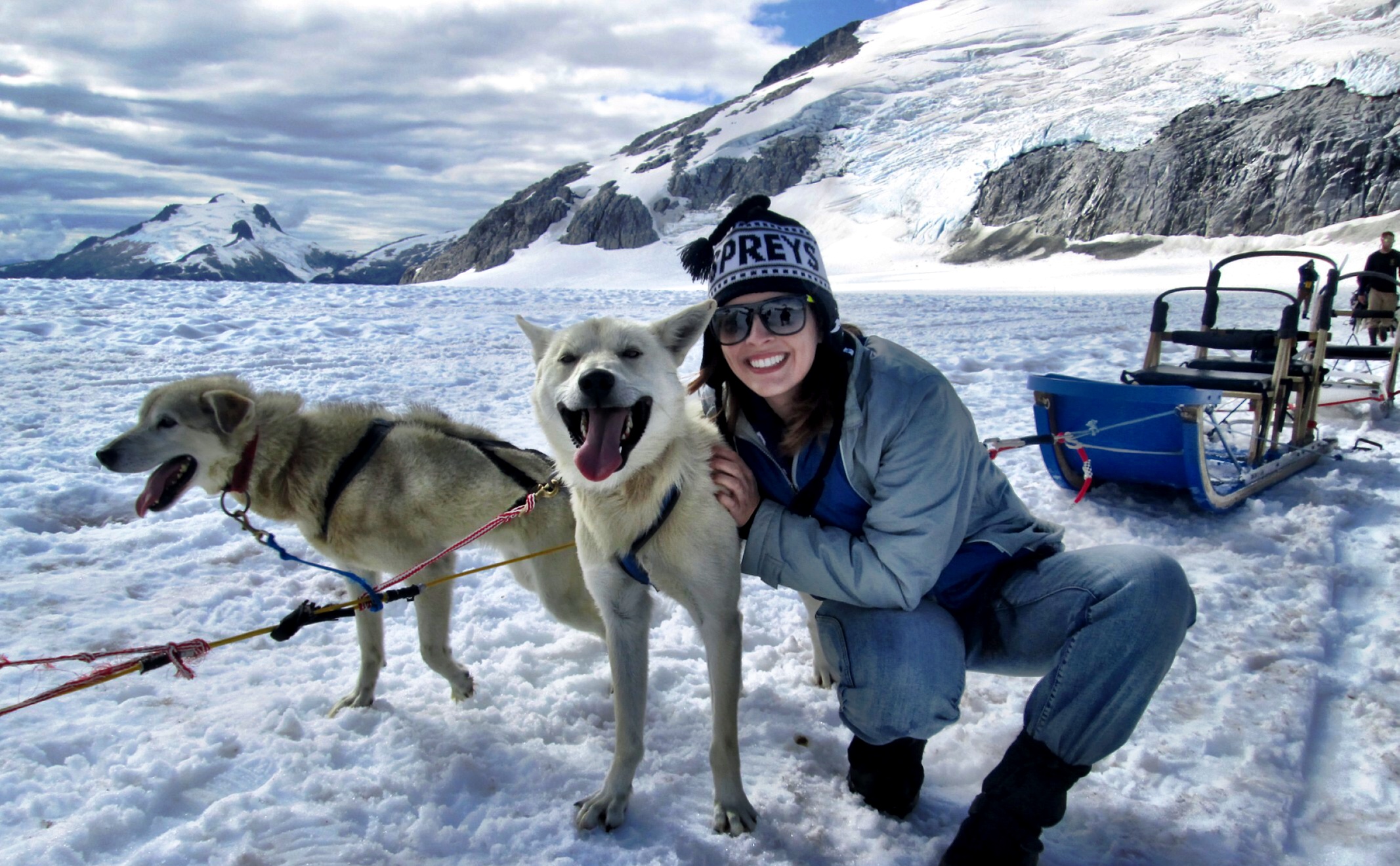 juneau alaska dog sledding tour