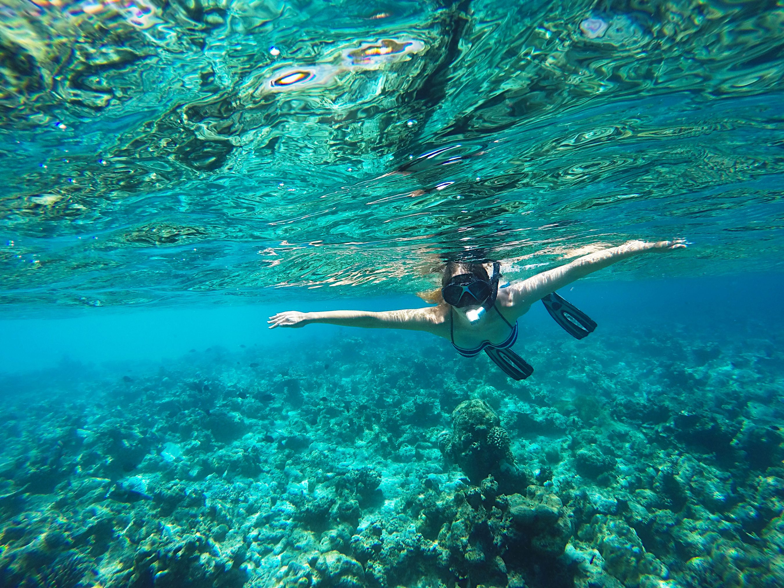 Maldives Veligandu Island Kristy Snorkeling Married With Wanderlust