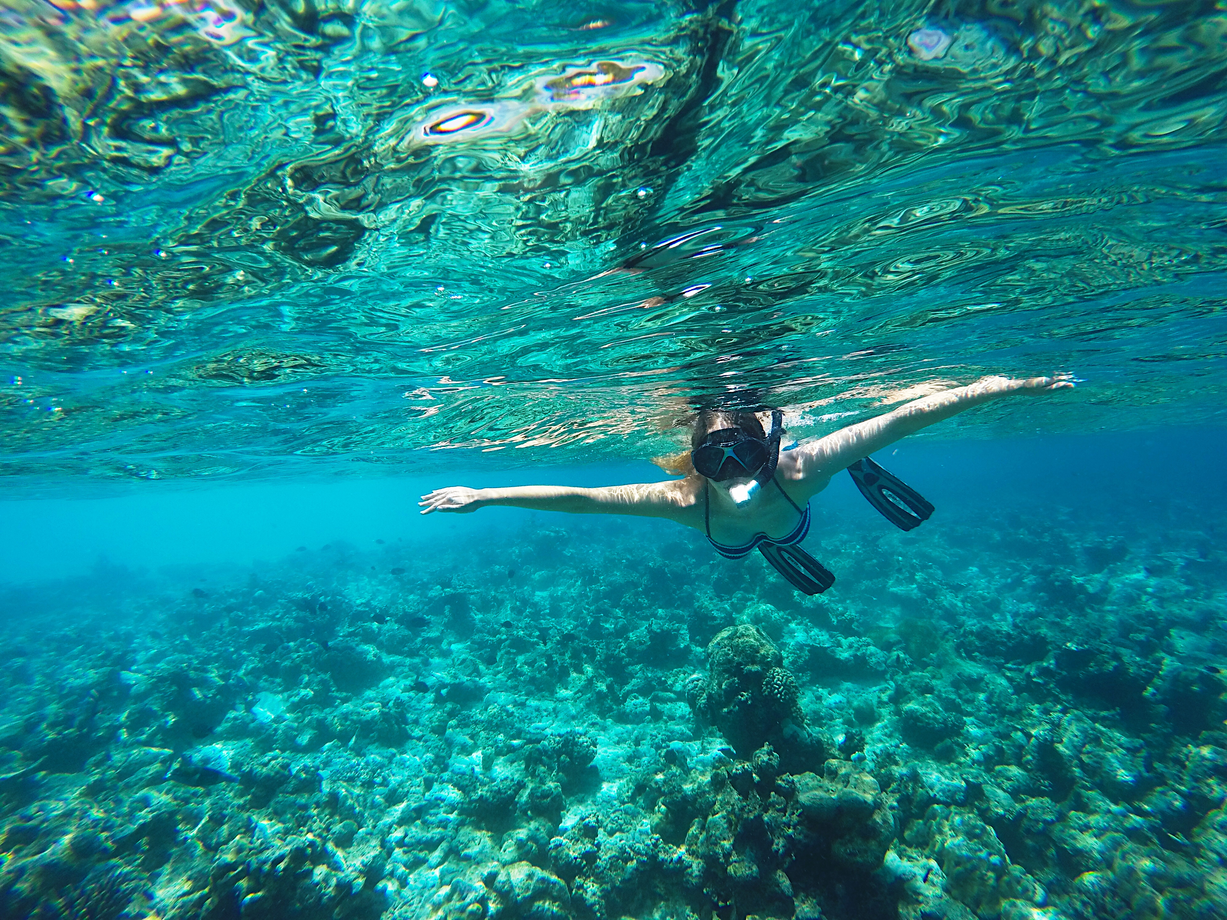 Maldives-Veligandu-Island-Kristy-Snorkeling