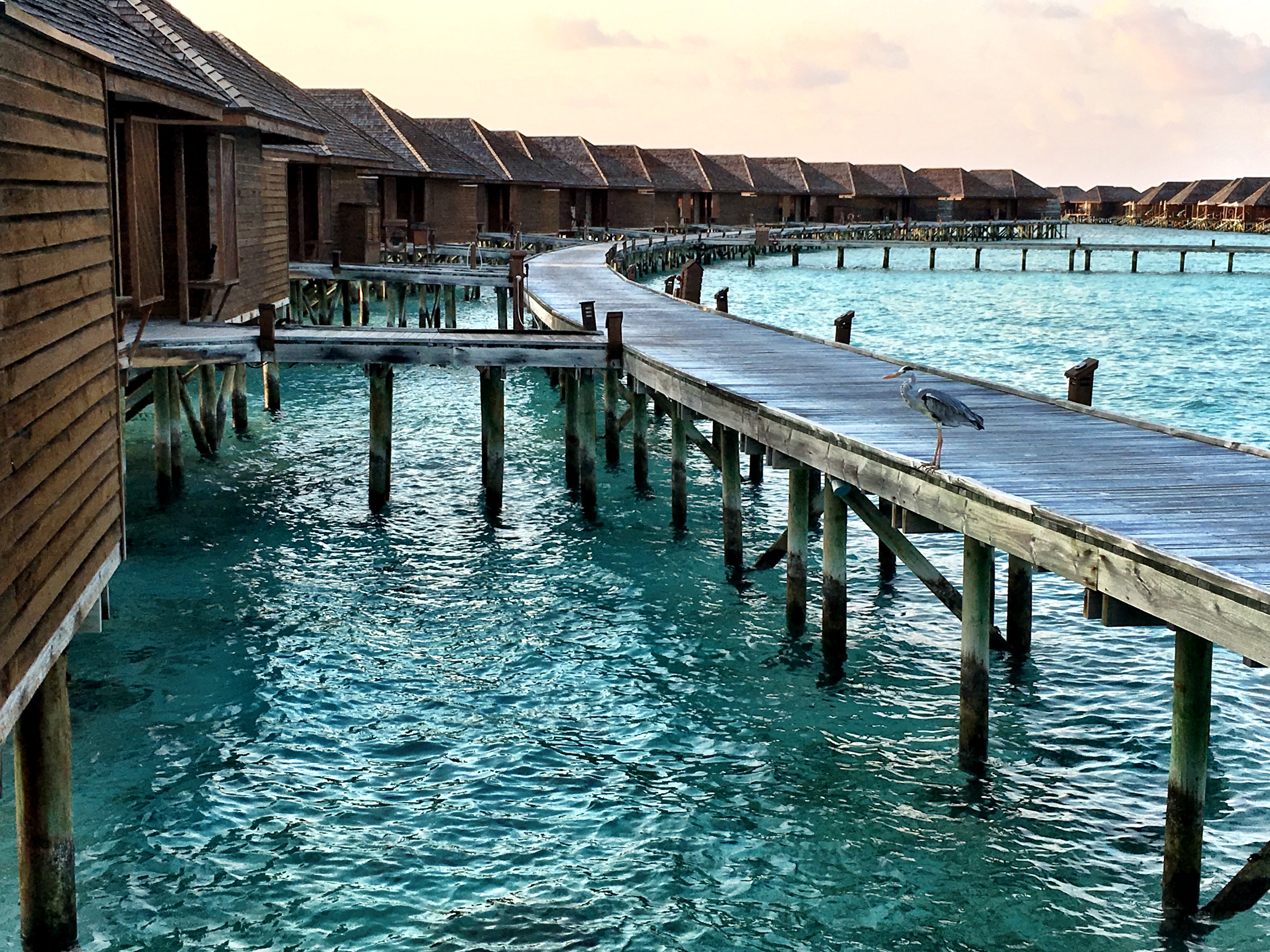 Maldives - Veligandu Island Overwater Bungalows