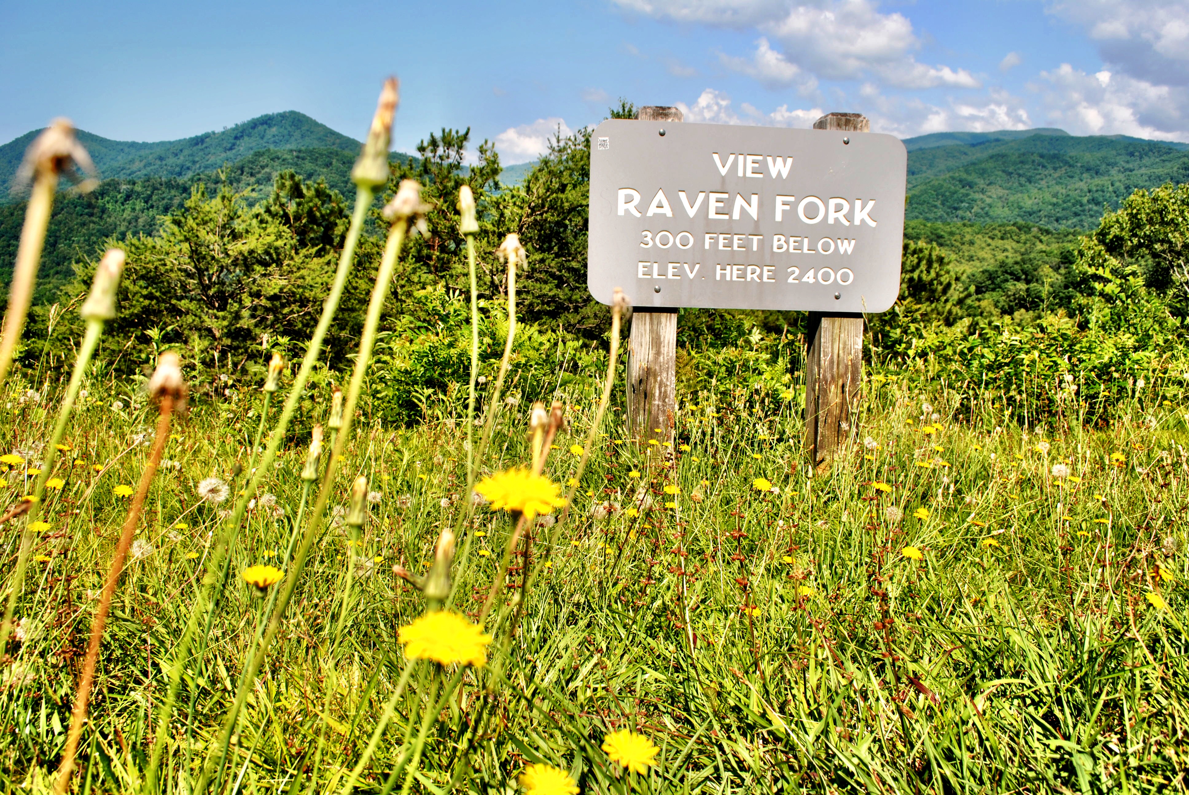 Raven Fork View in North Carolina