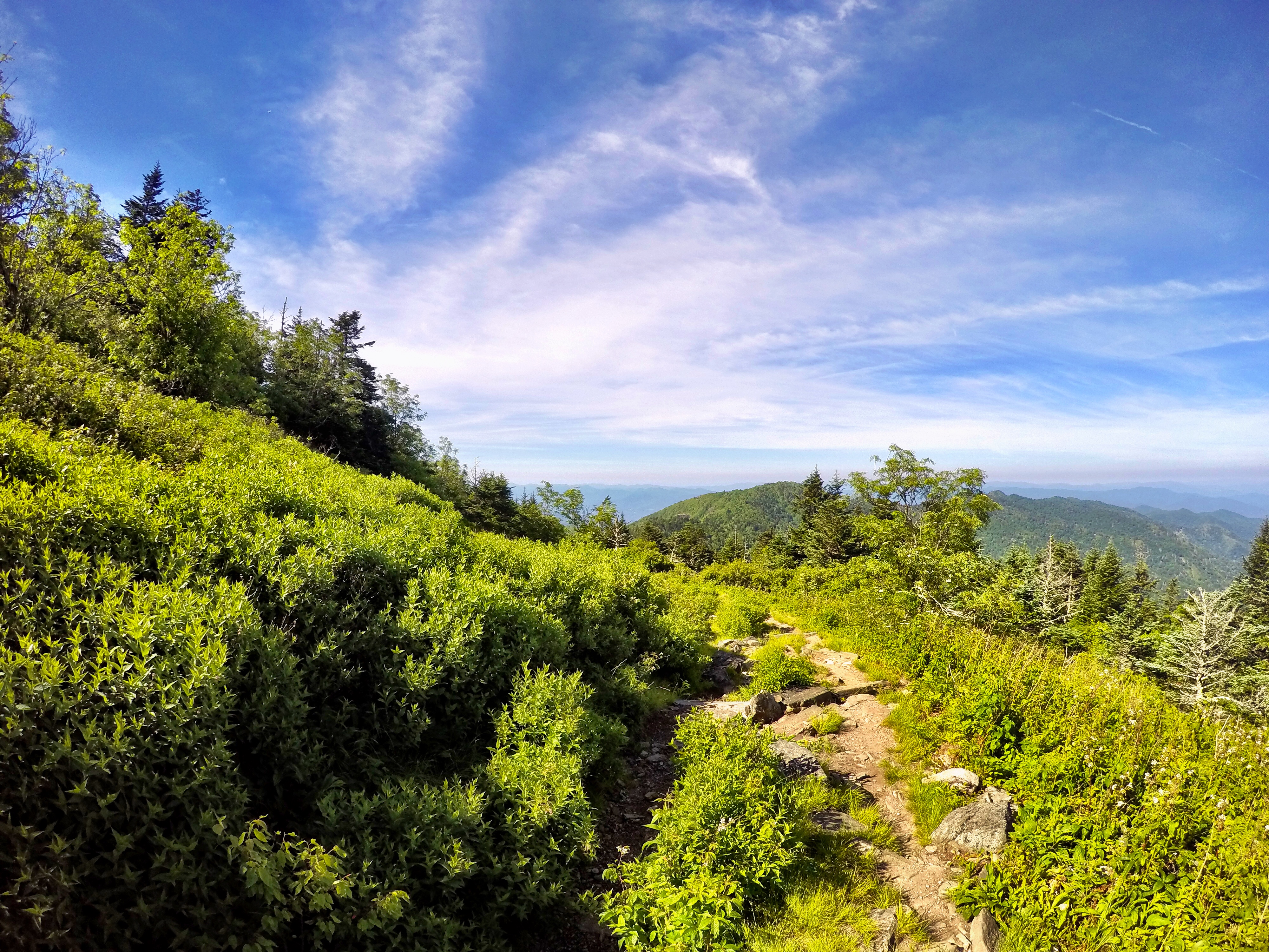 Waterrock Knob overlook in North Carolina