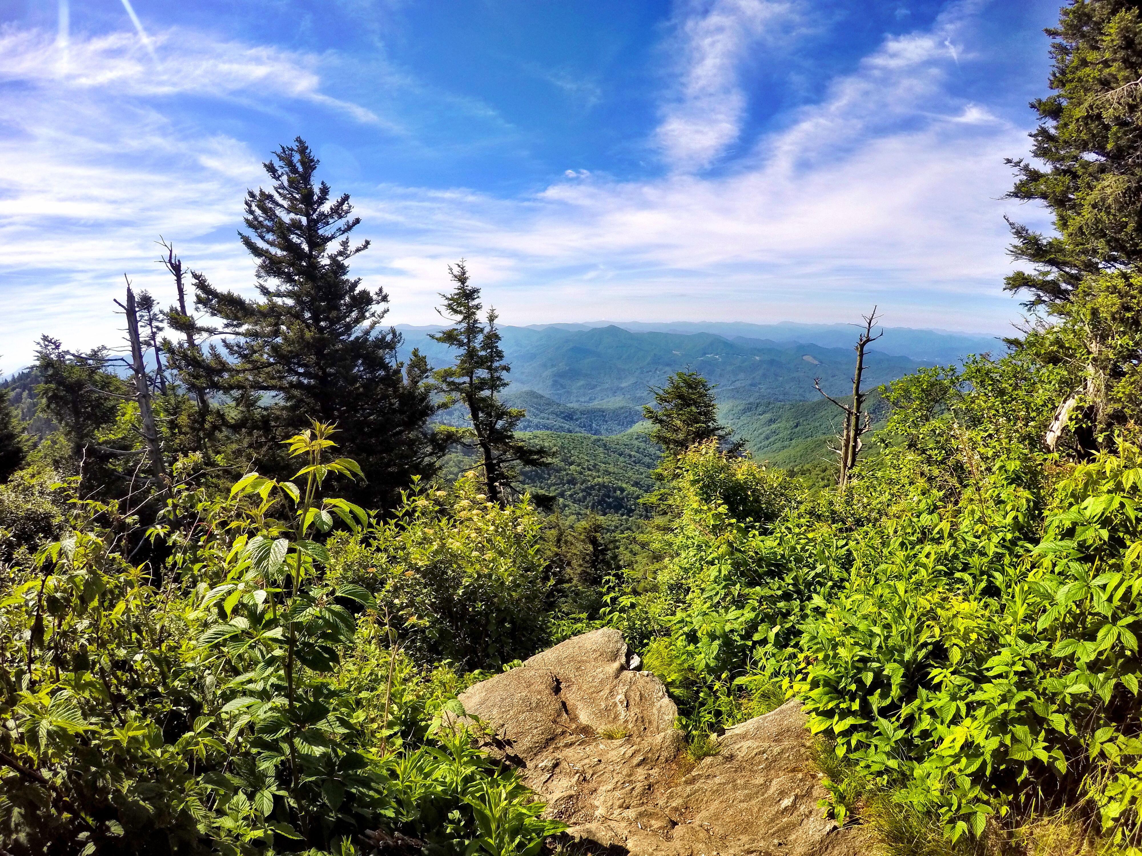 Waterrock Knob overlook in North Carolina