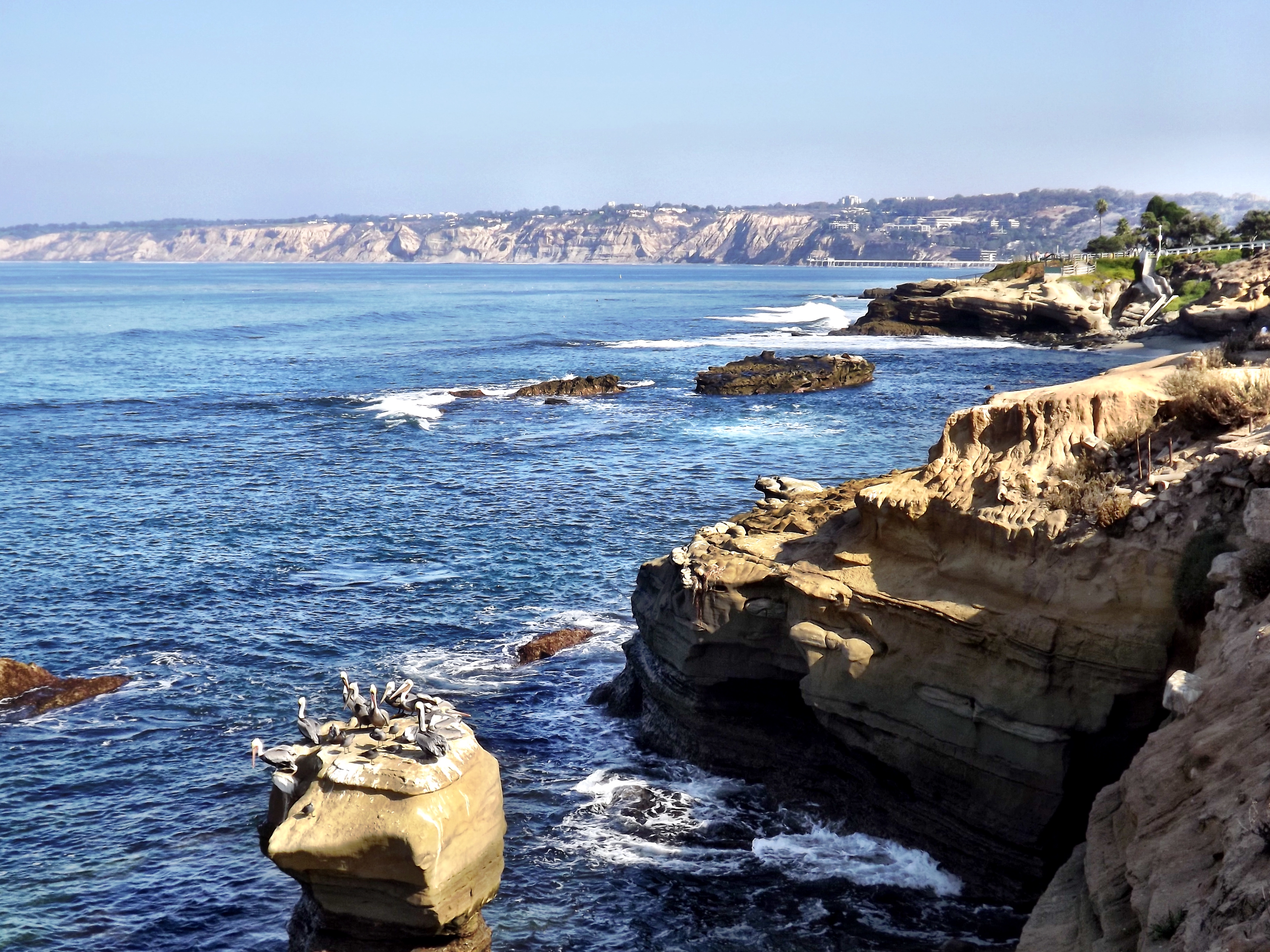 San Diego - California - La Jolla Cove