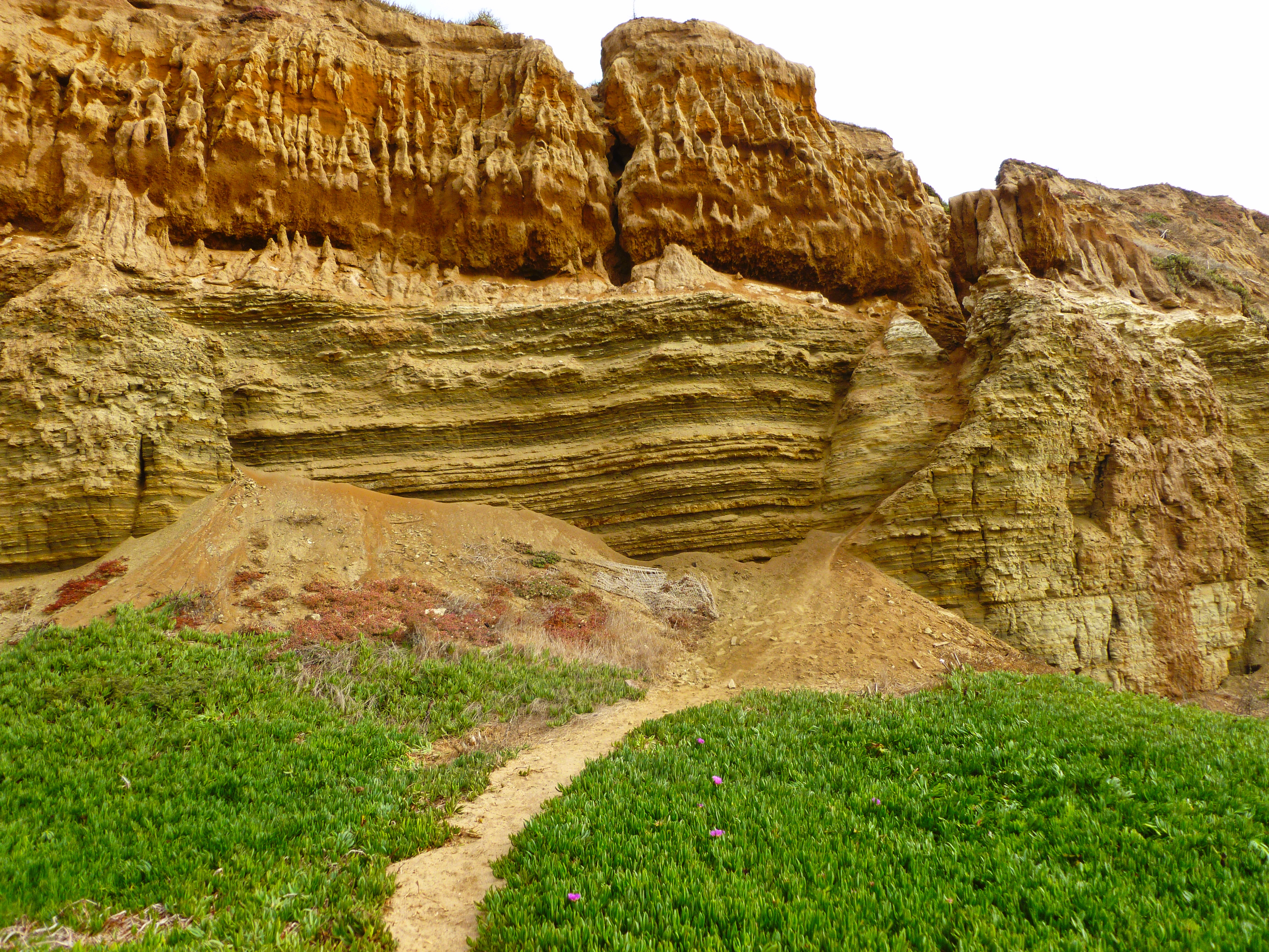 Sunset Cliffs - San Diego California