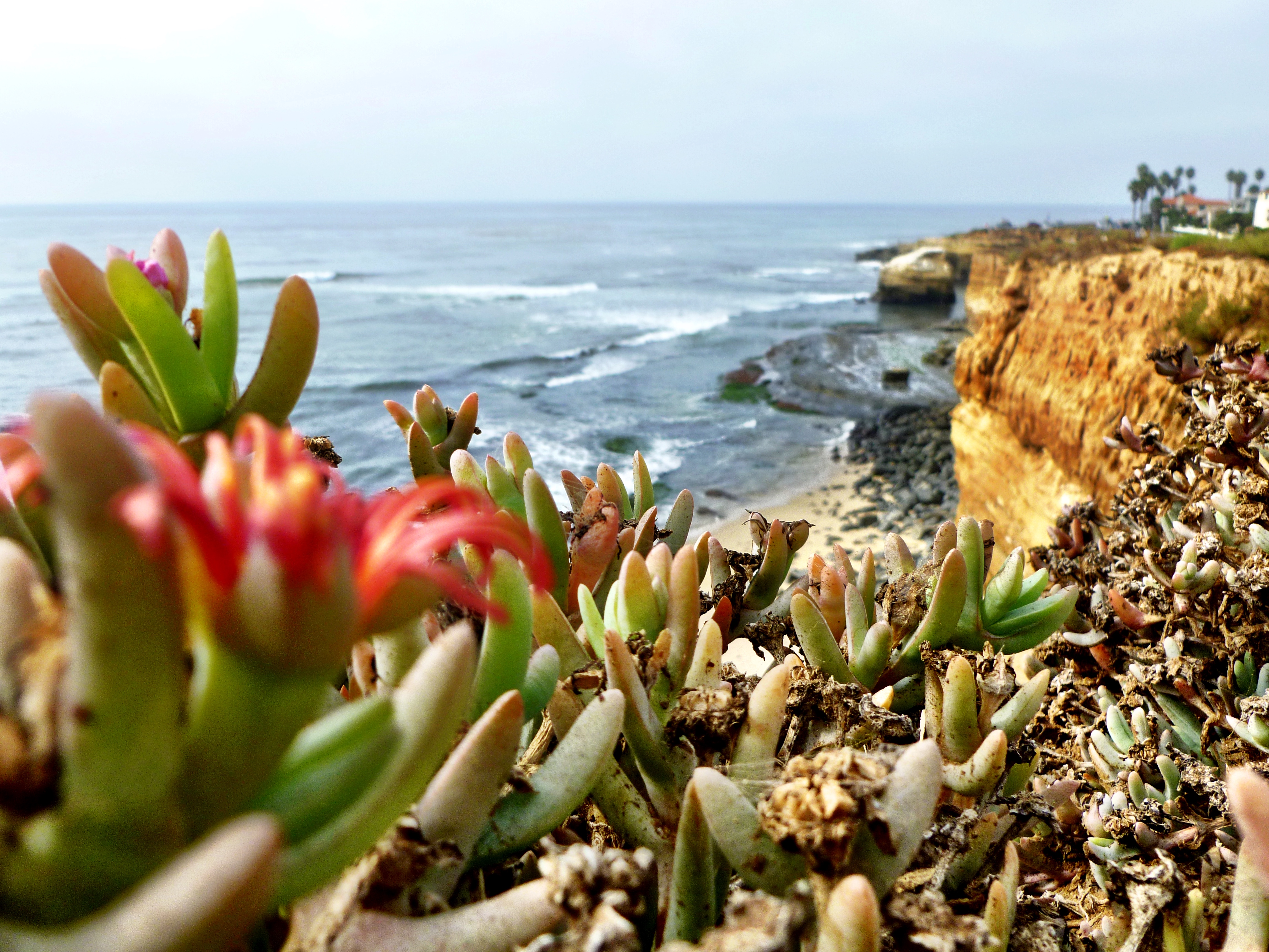 Sunset Cliffs - San Diego - California