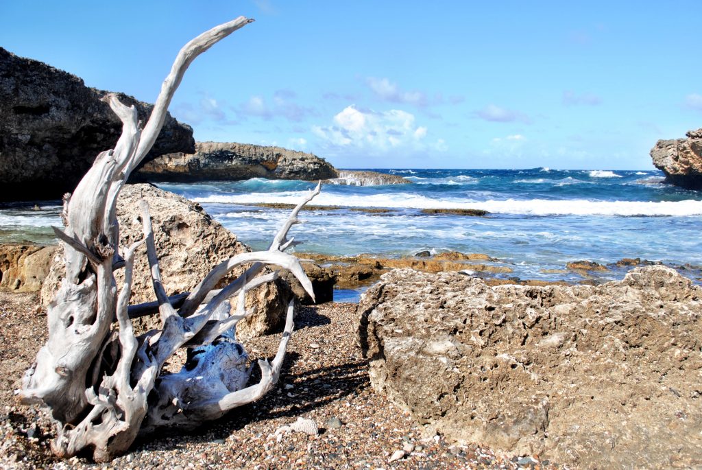 Curacao - Boka Wandomi Beach