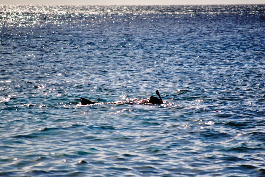 Curacao - Snorkeling