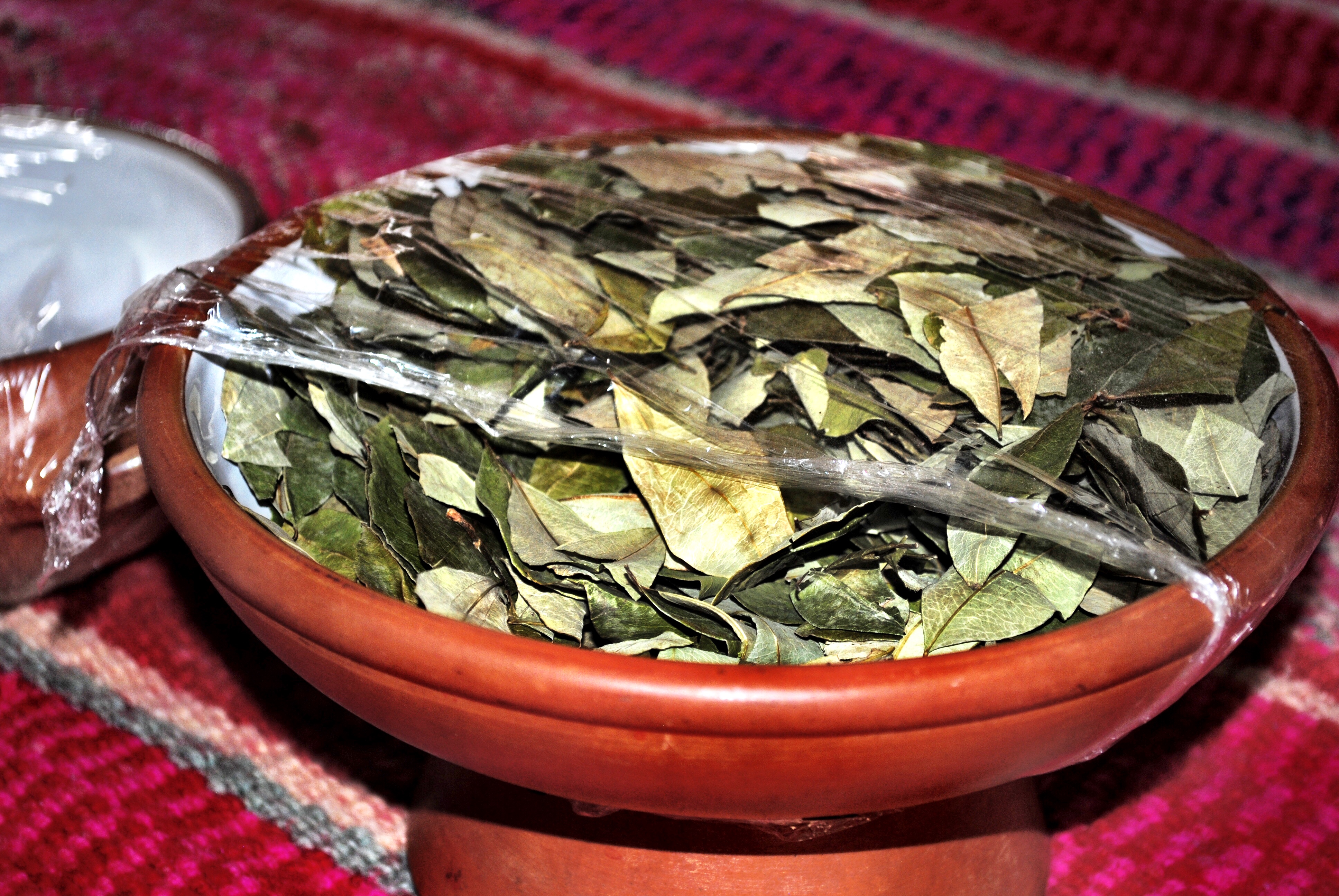 Peru - Coca Leaves