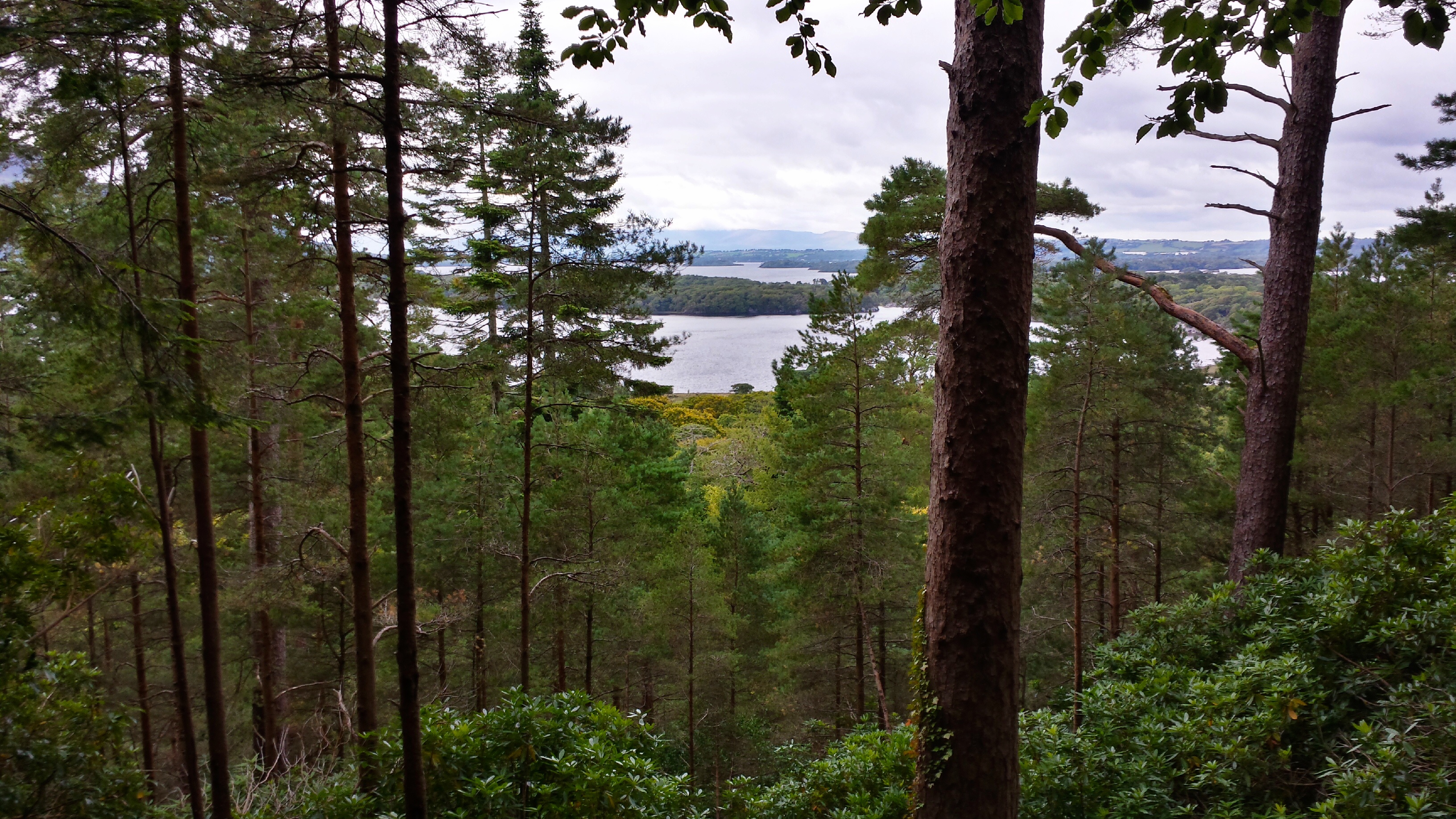 Hike at Torc Waterfall in Killarney, Ireland