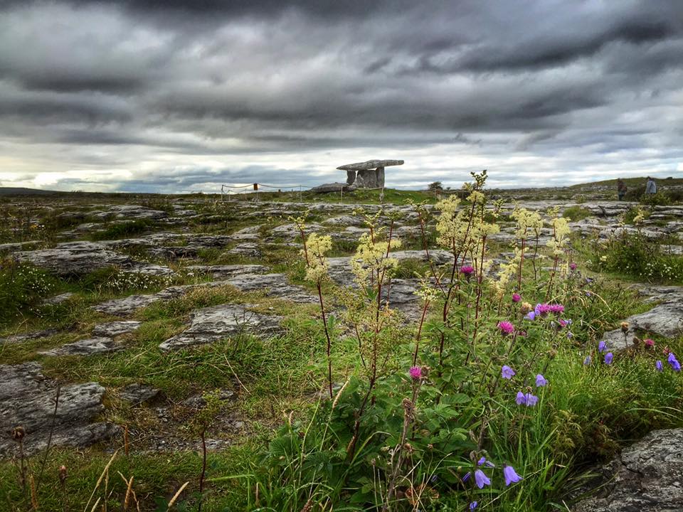 Ireland's Poulnabrone Dolmen is gorgeous when the wildflowers are blooming.