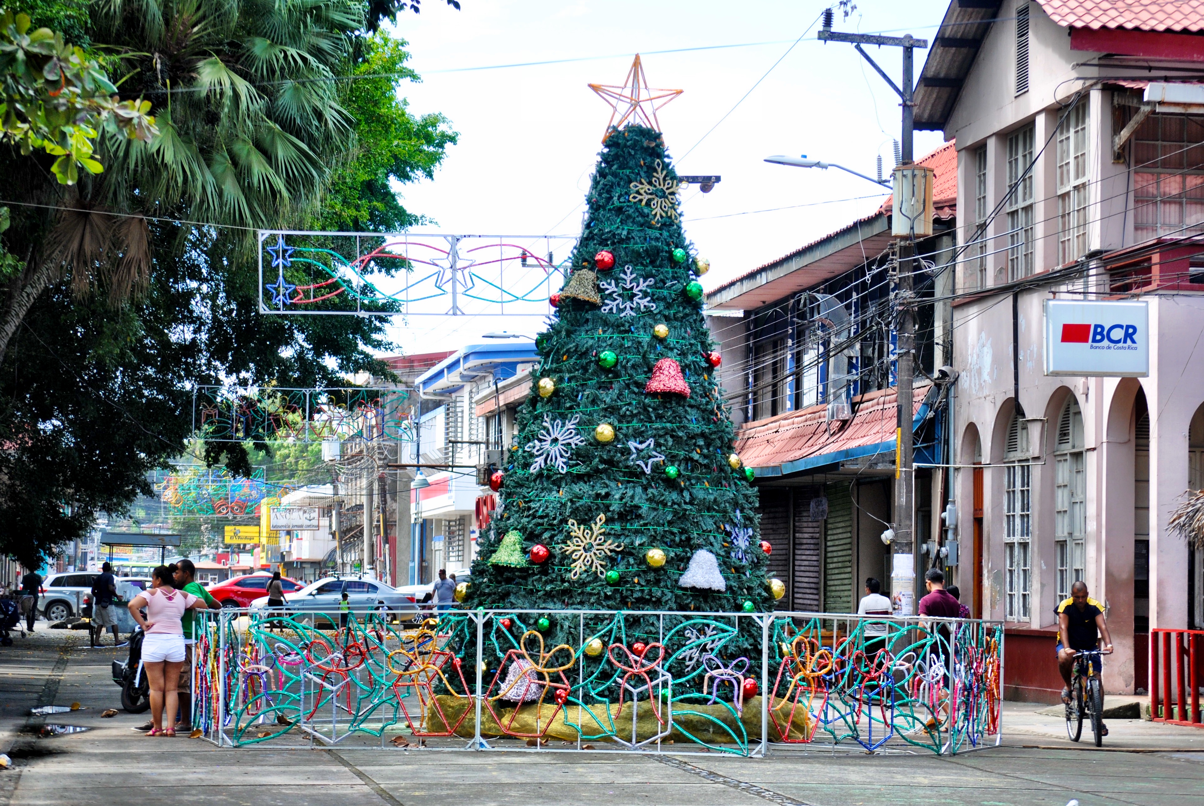 Limón Costa Rica- Christmas Tree