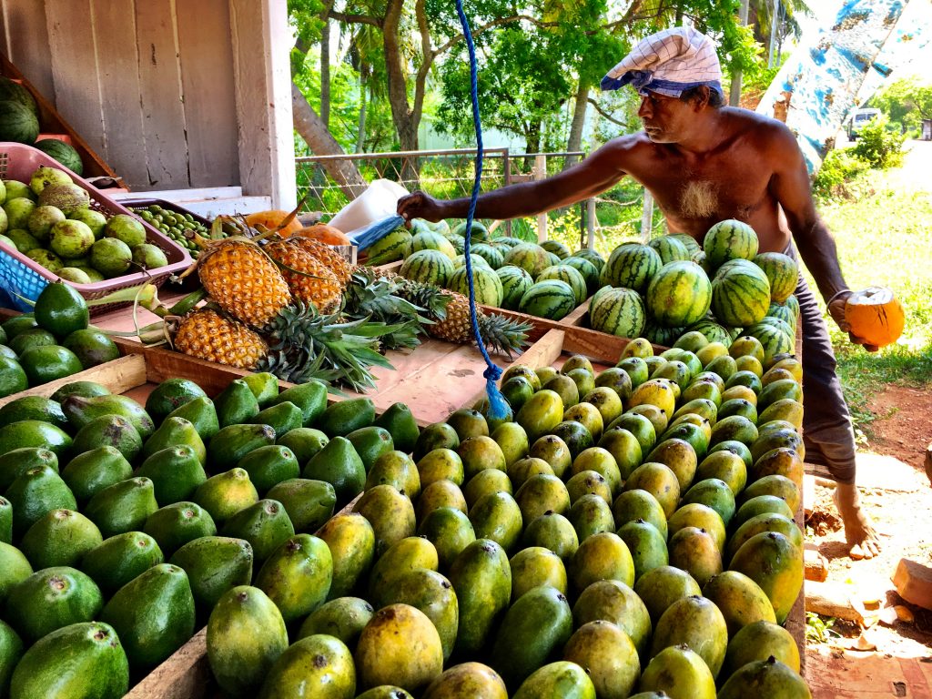 Local fruit stand in Sri Lanka 