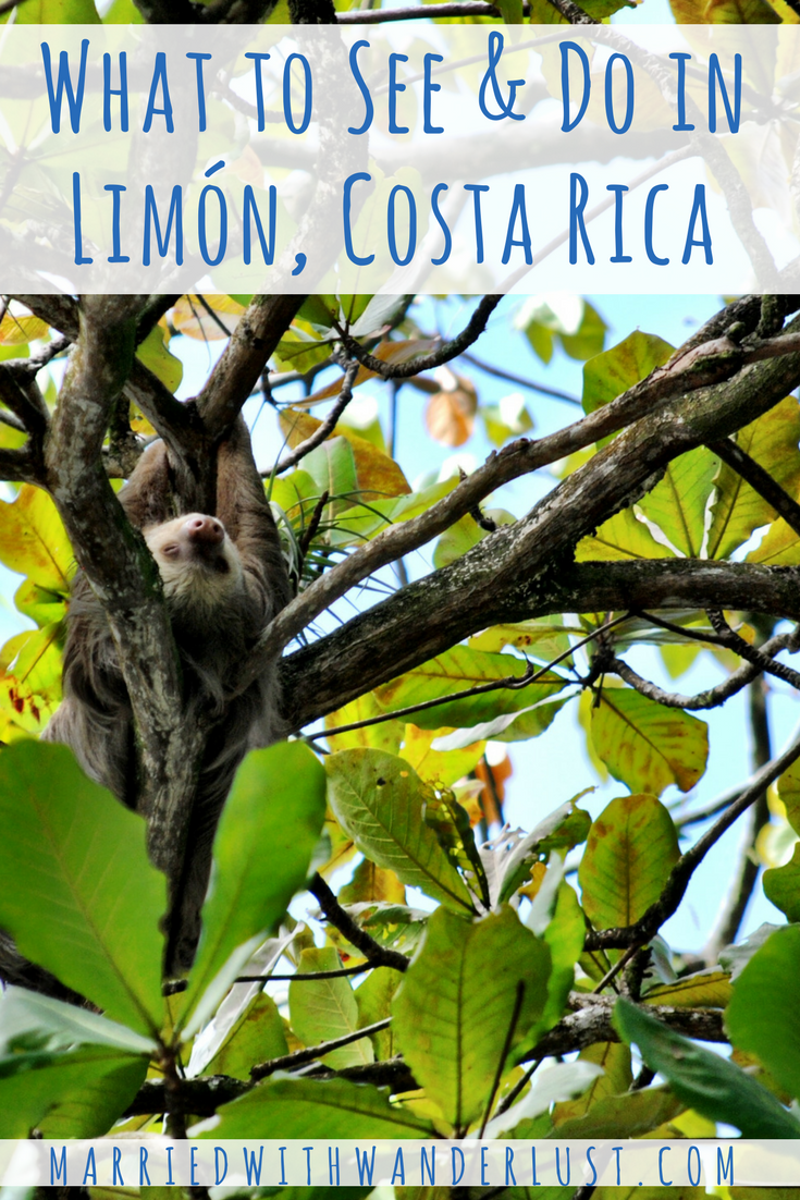 What to See & Do in Limón, Costa Rica