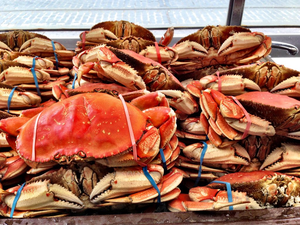 Crabs at Fishermans Wharf - San Francisco - Married with Wanderlust