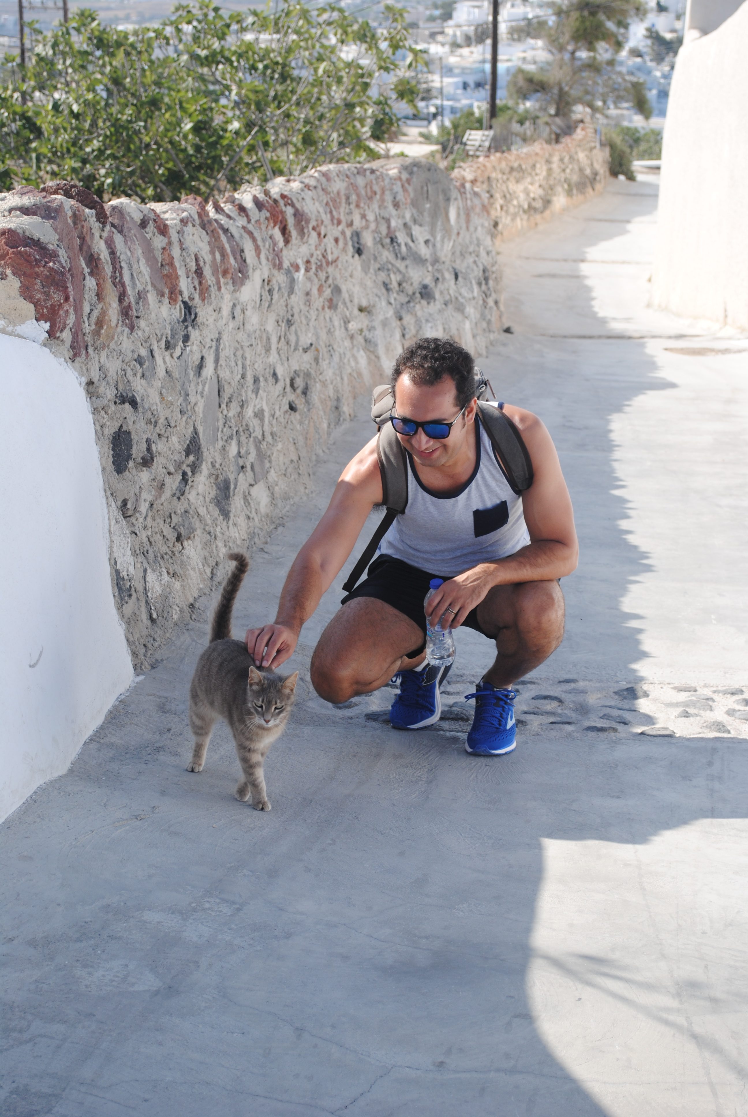 Making friends with stray cats in Santorini