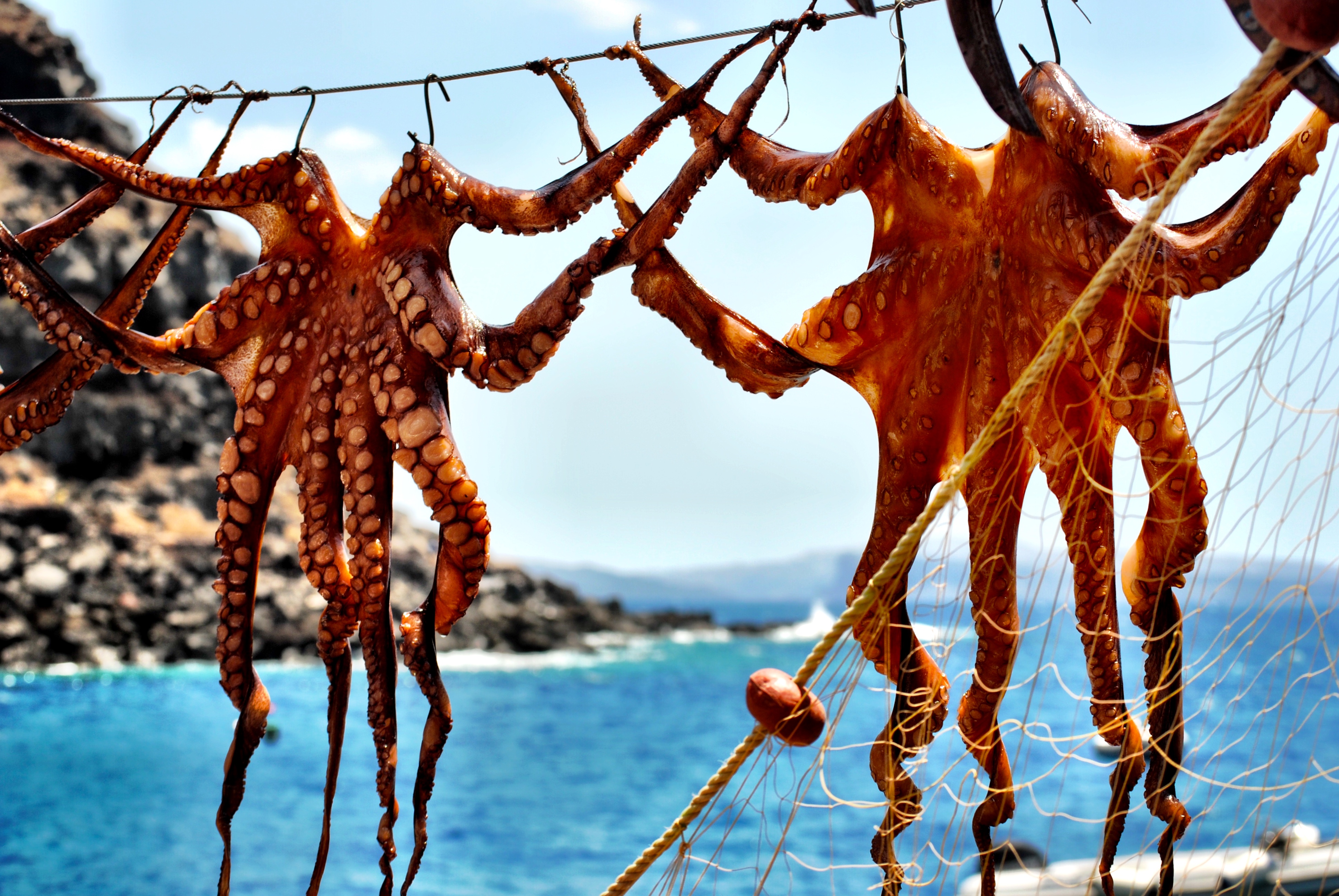 Amoudi Bay in Santorini is perfect for lunch or dinner with a view.