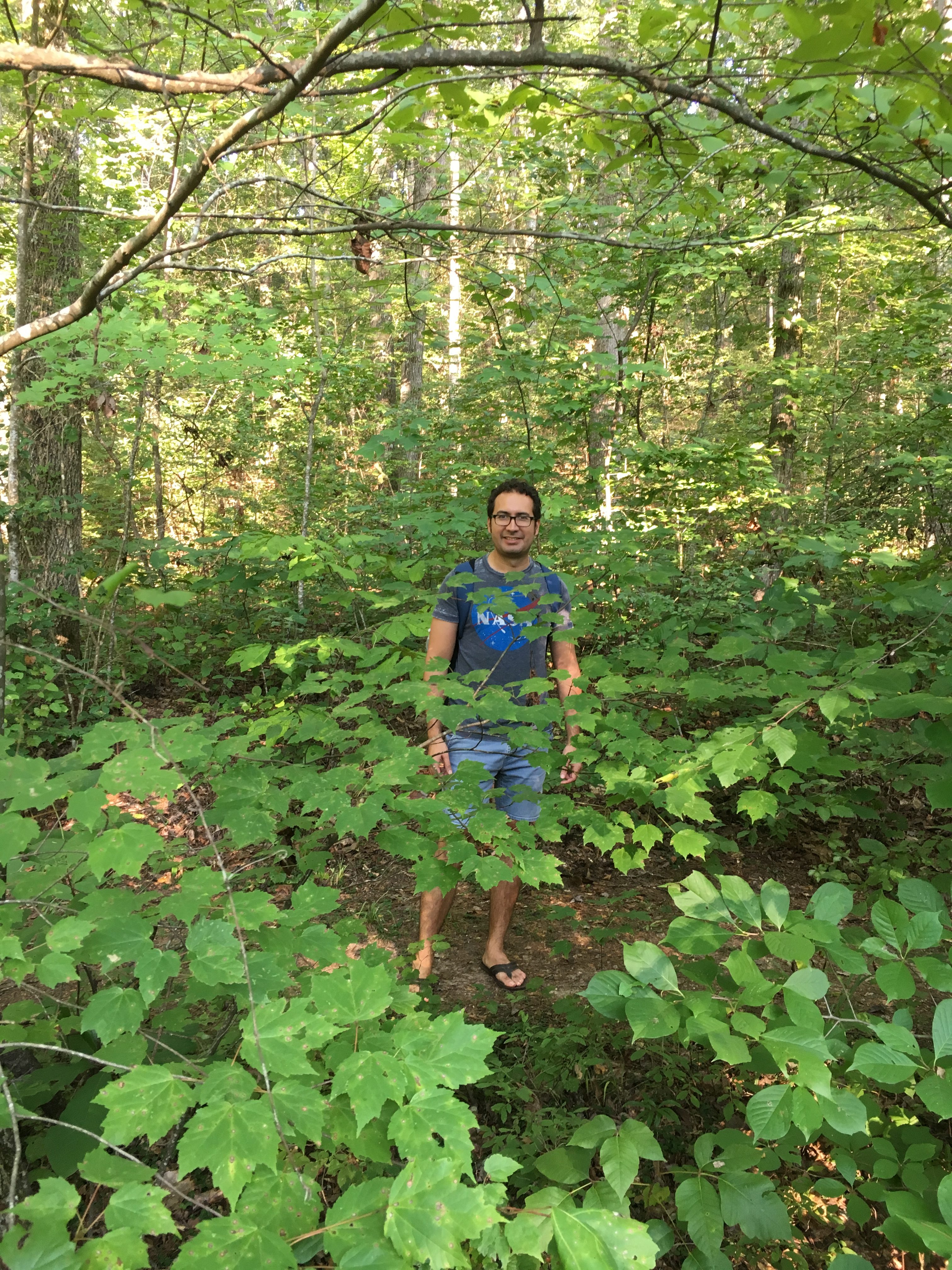 Hiking in Chau Ram Park, South Carolina