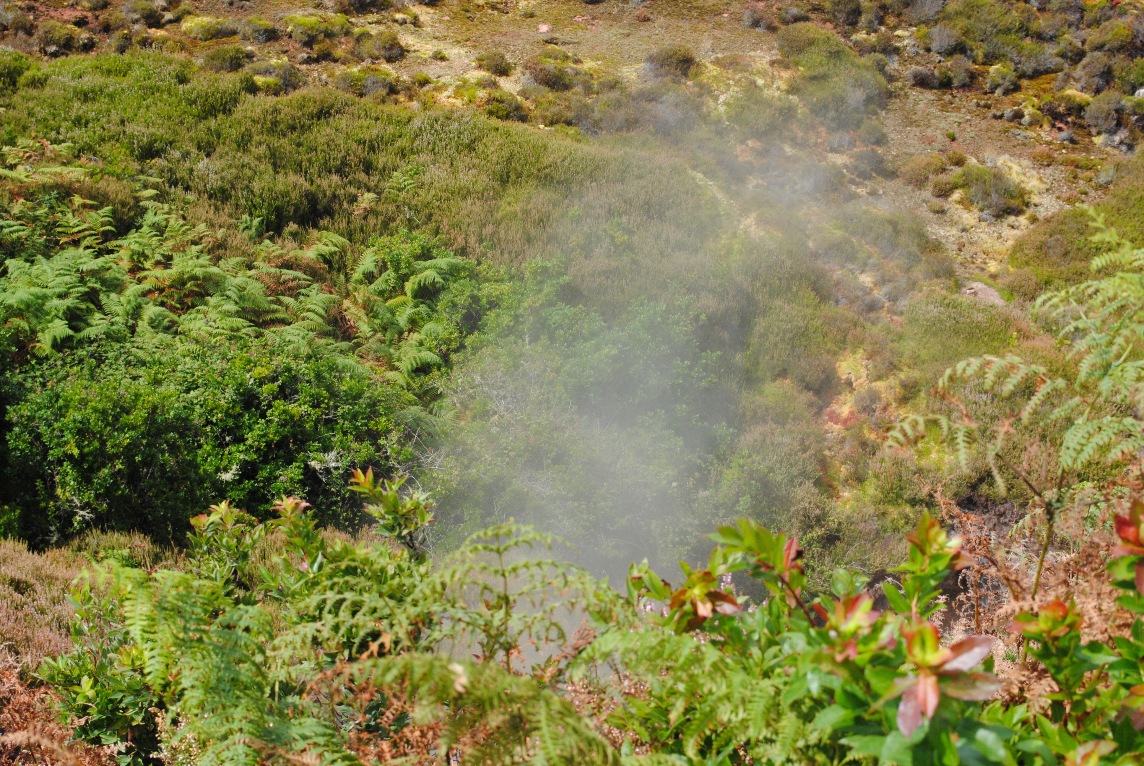 Furnas do Enxofre, Terceira Island, Azores