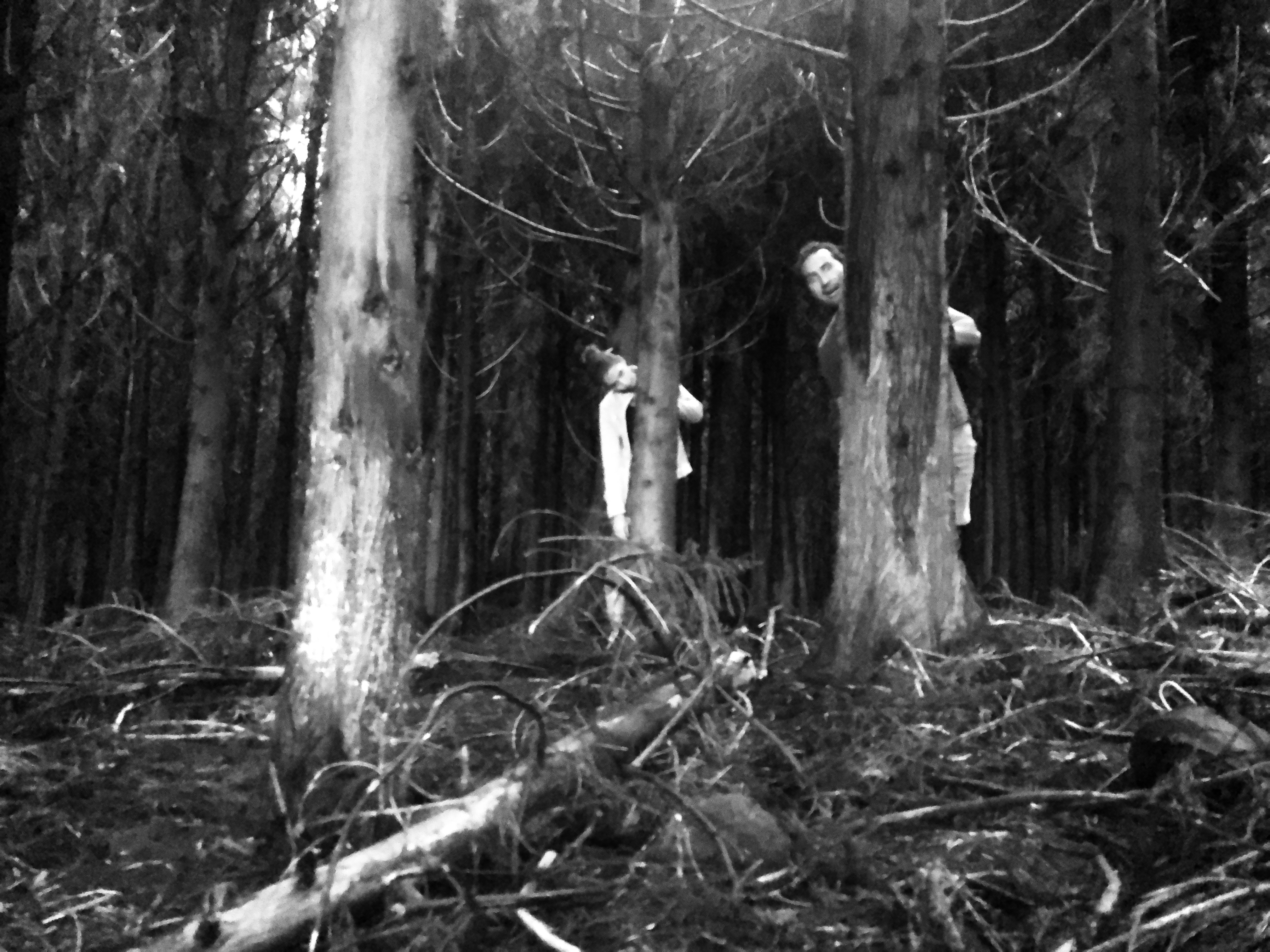 Having fun in the "Haunted Forest" of Terceira Island, Azores