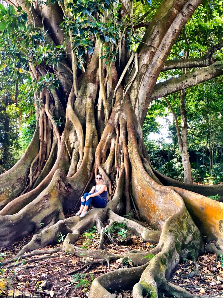 José do Canto Botanical Garden in Ponta Delgada, Azores