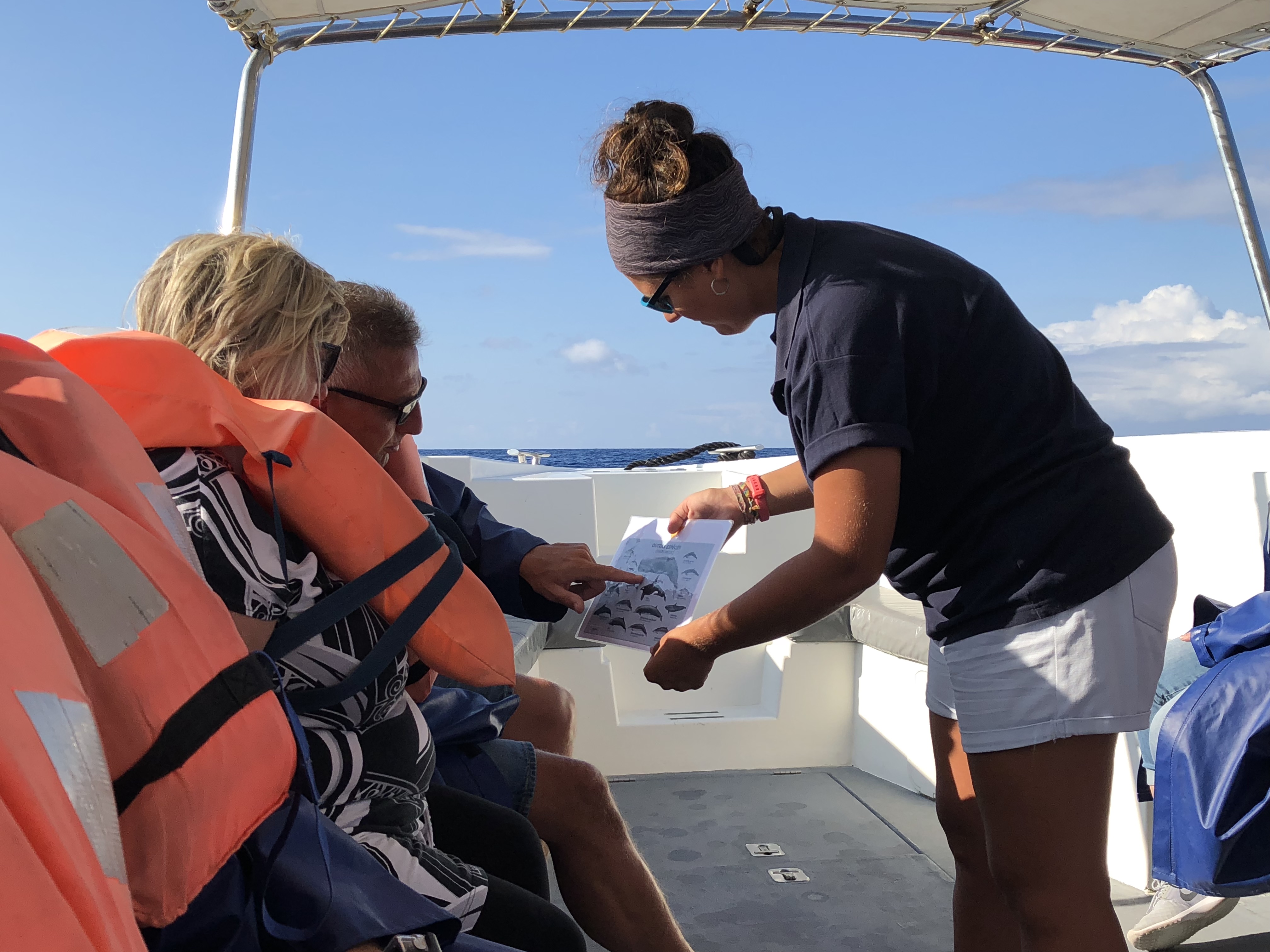 Marine biologist explains the whales spotted on tour in the Azores