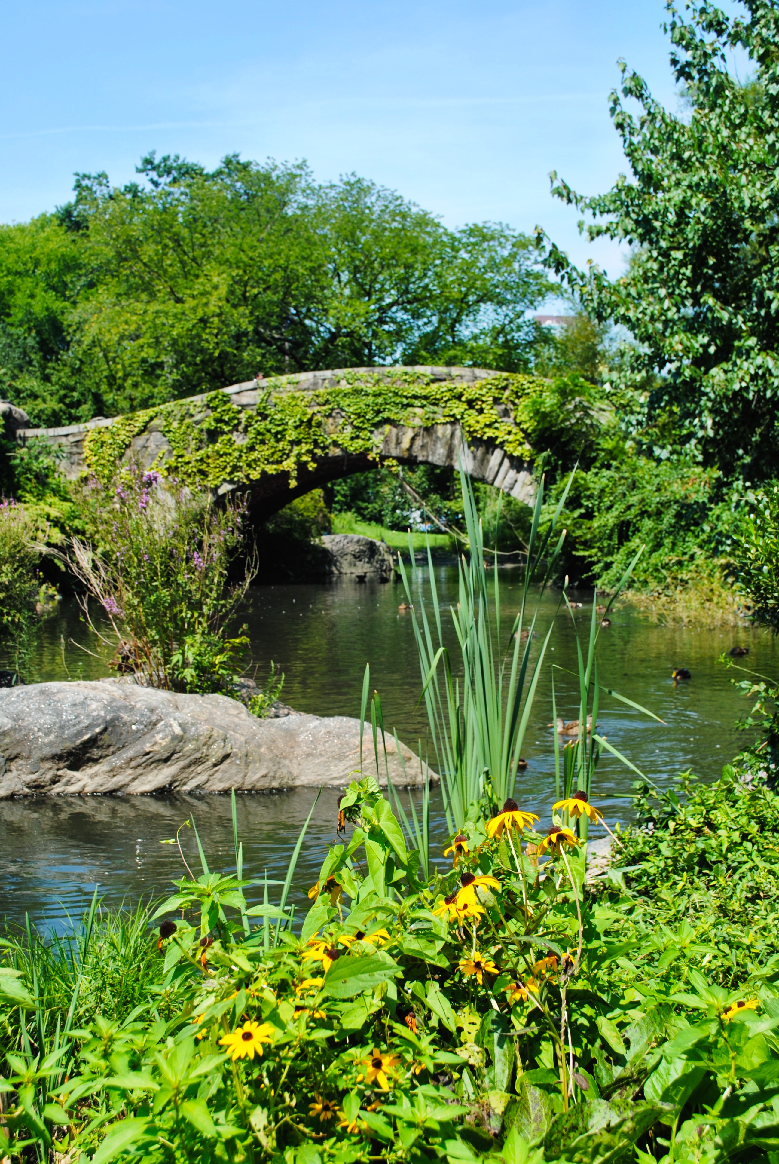 Stroll through Central Park