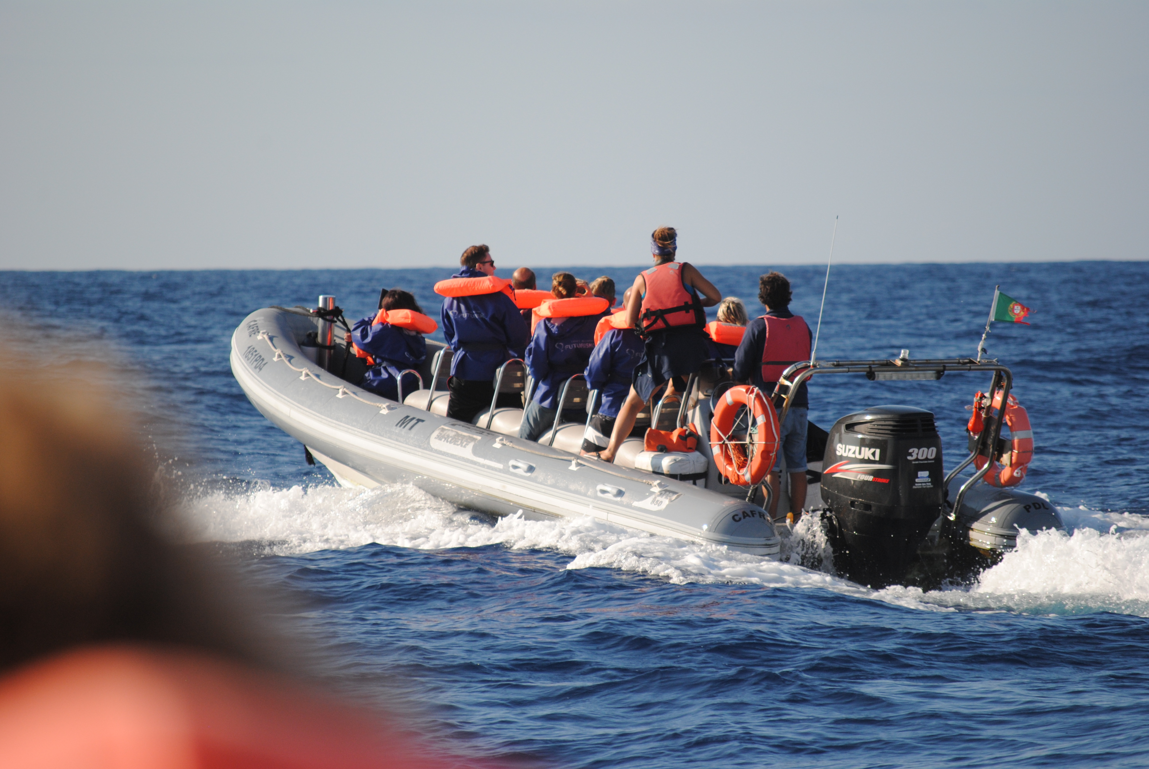 Take a whale watching tour in the Azores - Married with Wanderlust