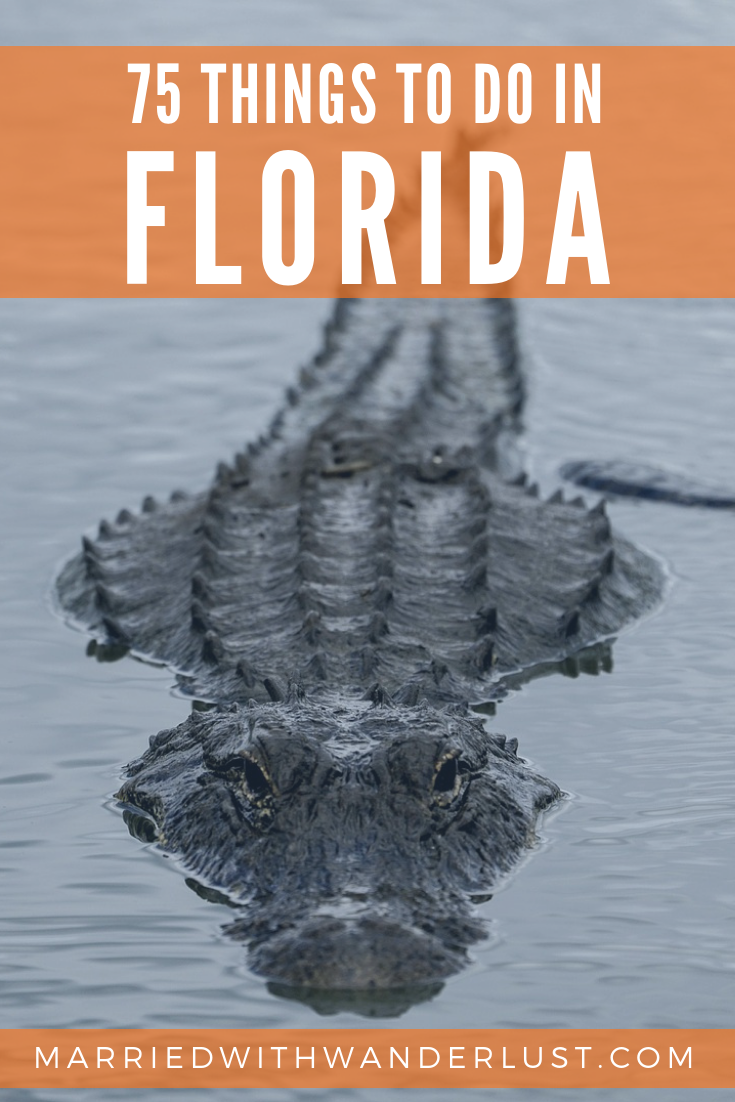 75 Things to Do in Florida