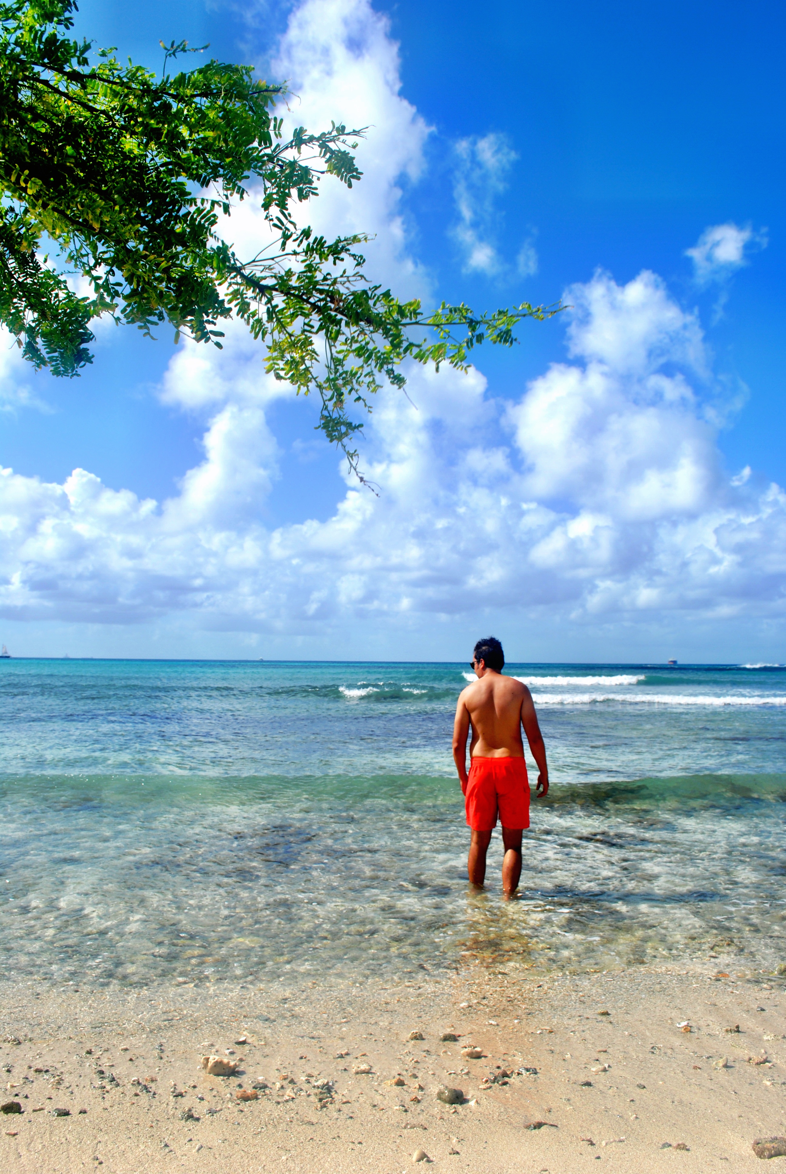 Relax on Aruba's Arashi Beach