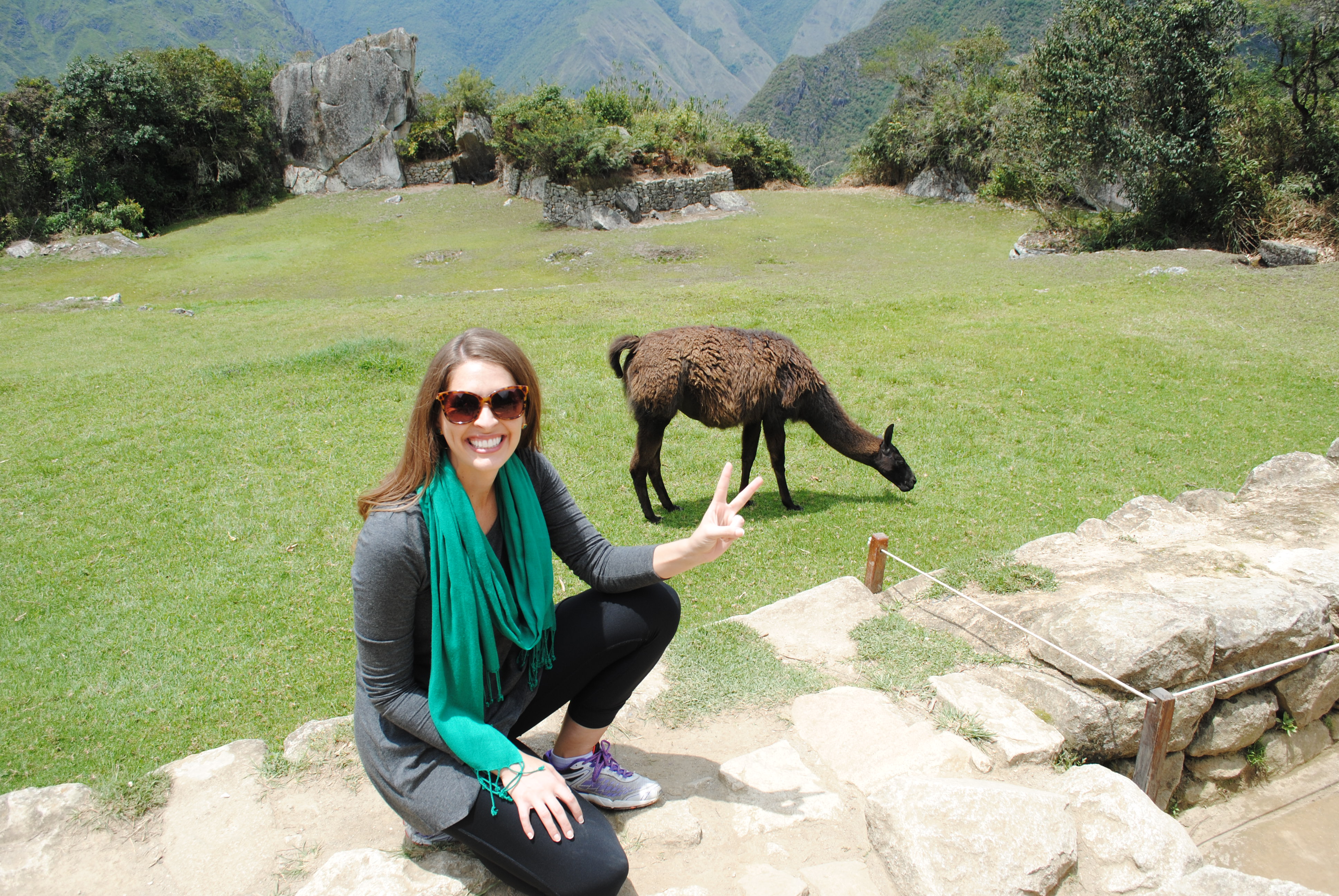 Hanging out with llamas at Machu Picchu