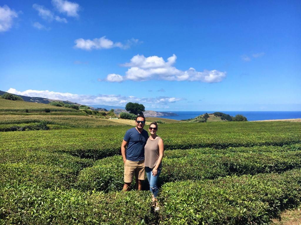 Exploring the tea fields in the Azores