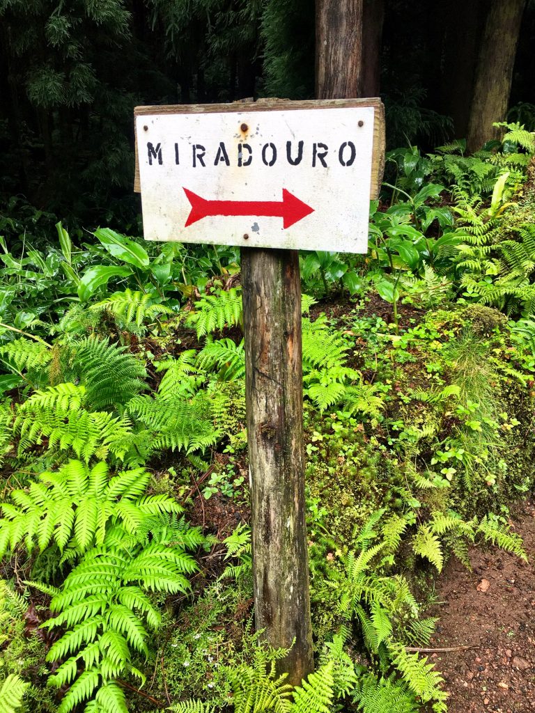 Visit all of the miradouros (viewpoints) in the Azores