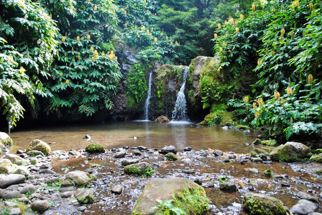 Waterfall at Parque Natural da Ribeira dos Caldeirões