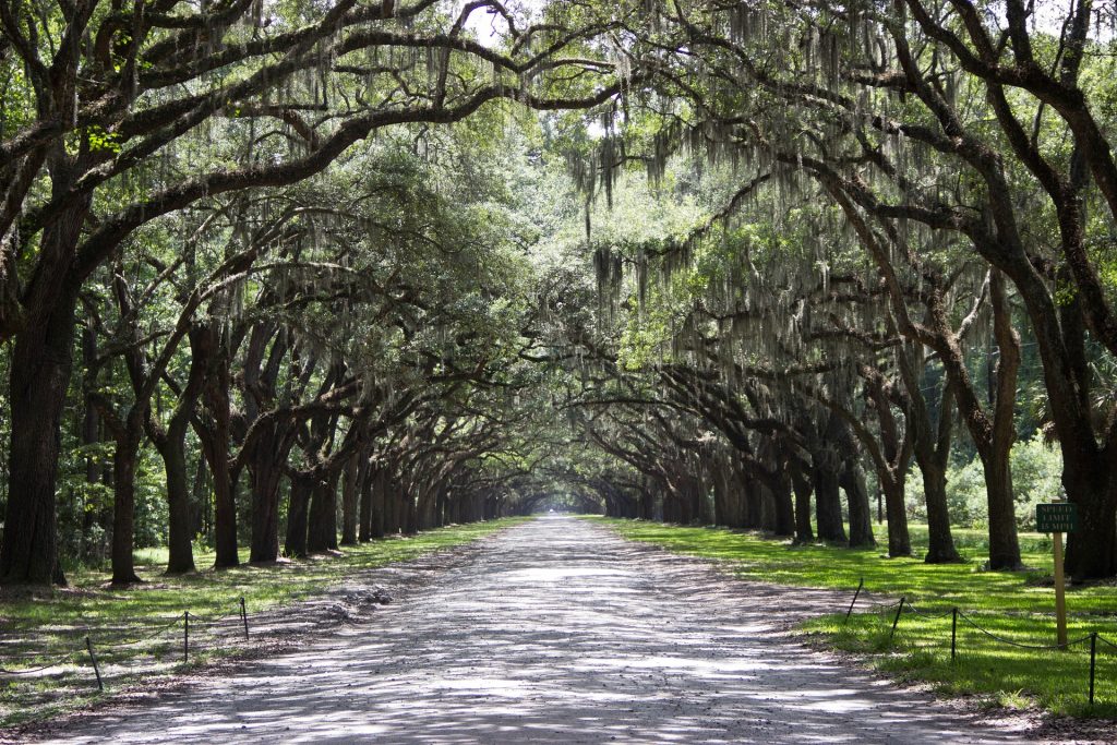 Southern Getaways: Savannah, GA