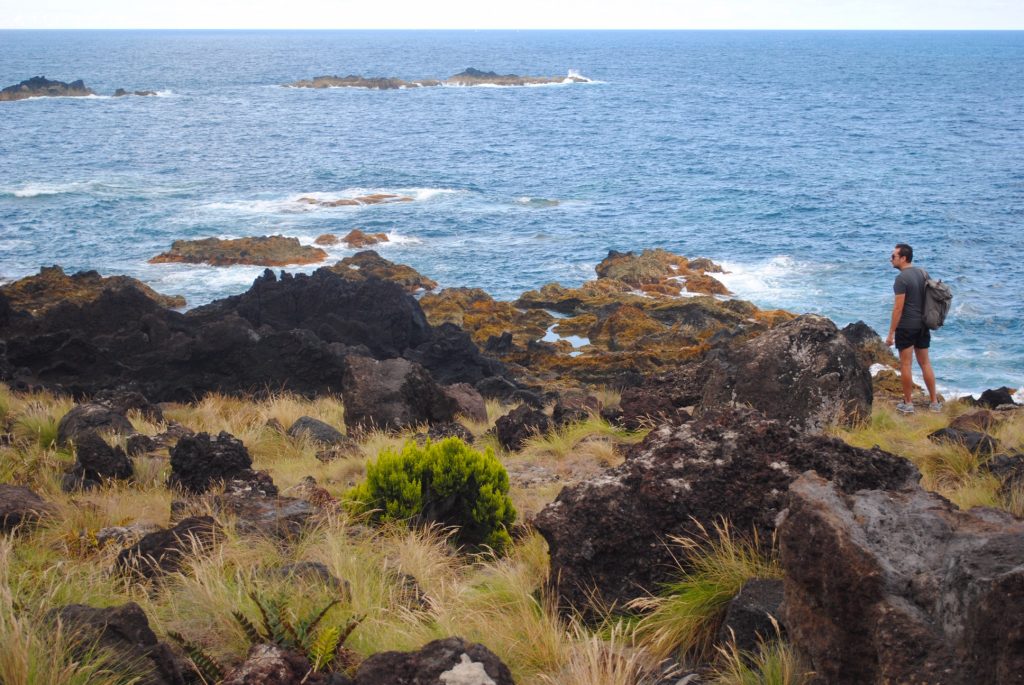 Enjoy the view at Ferraria Hot Springs, Azores