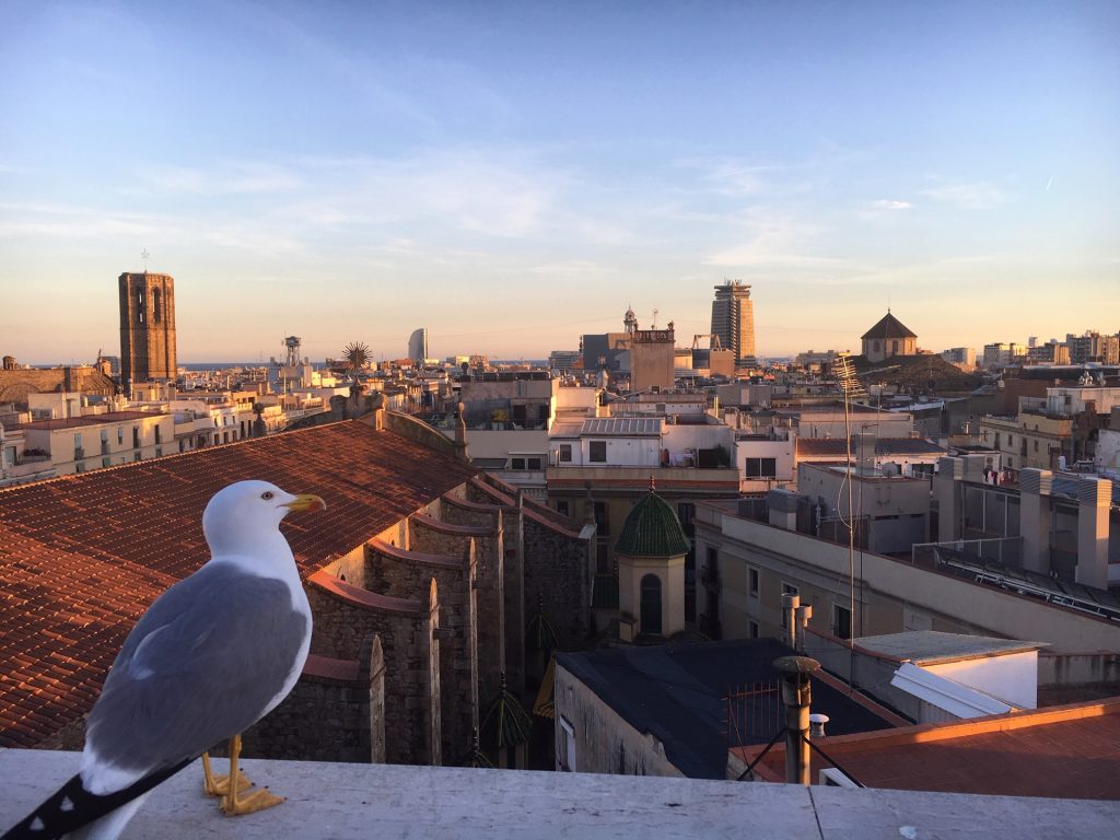 Rooftop bar at Hotel 1898 in Barcelona