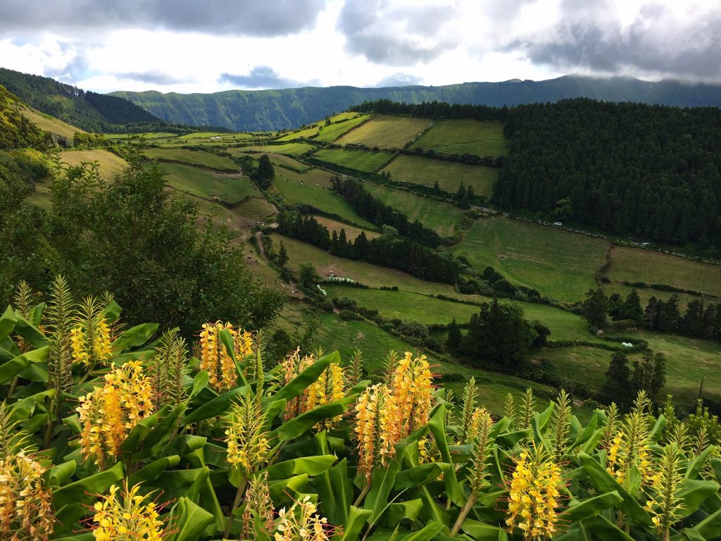 Viewpoint in the Azores