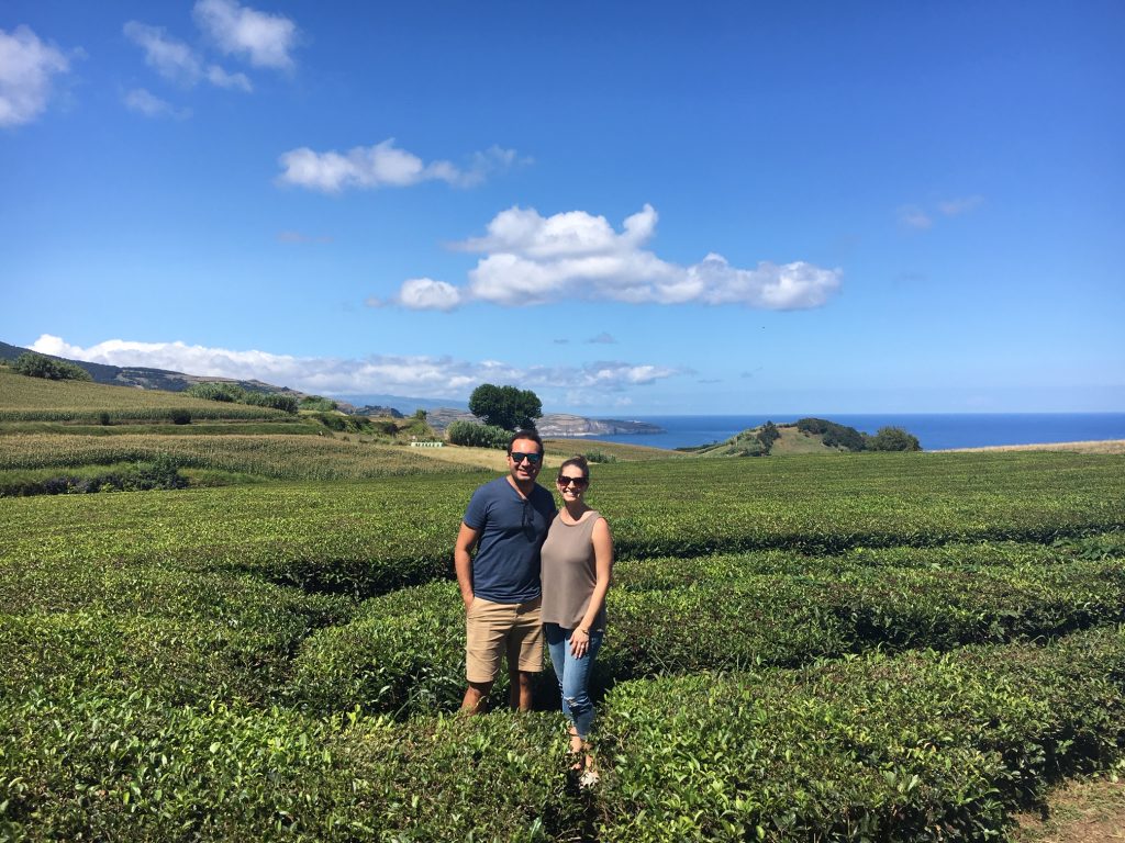 Explore the tea fields at Gorreana