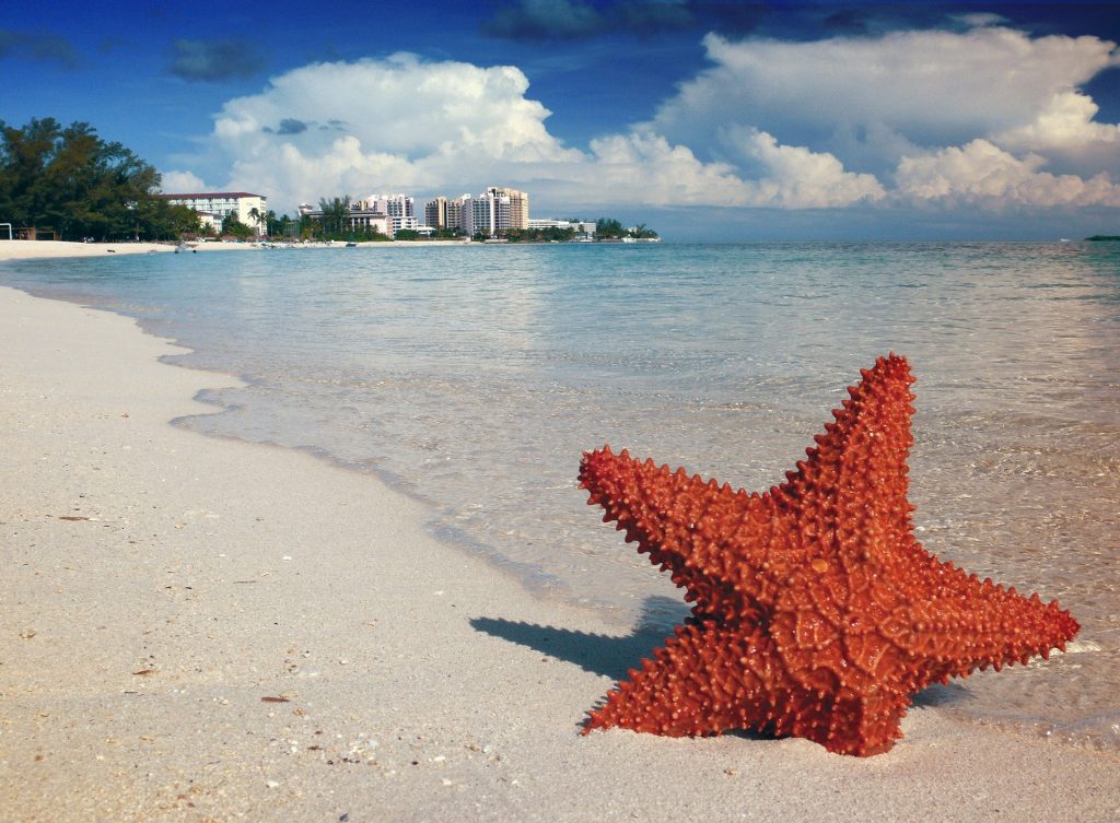 Hang on the Beach in Nassau, Bahamas