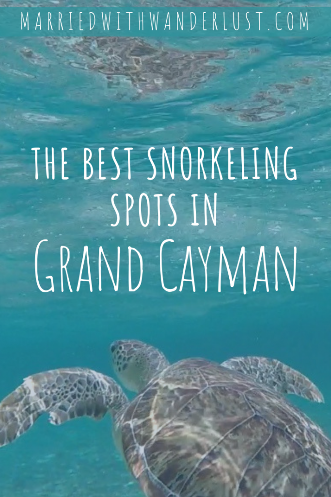 The best snorkeling spots in Grand Cayman