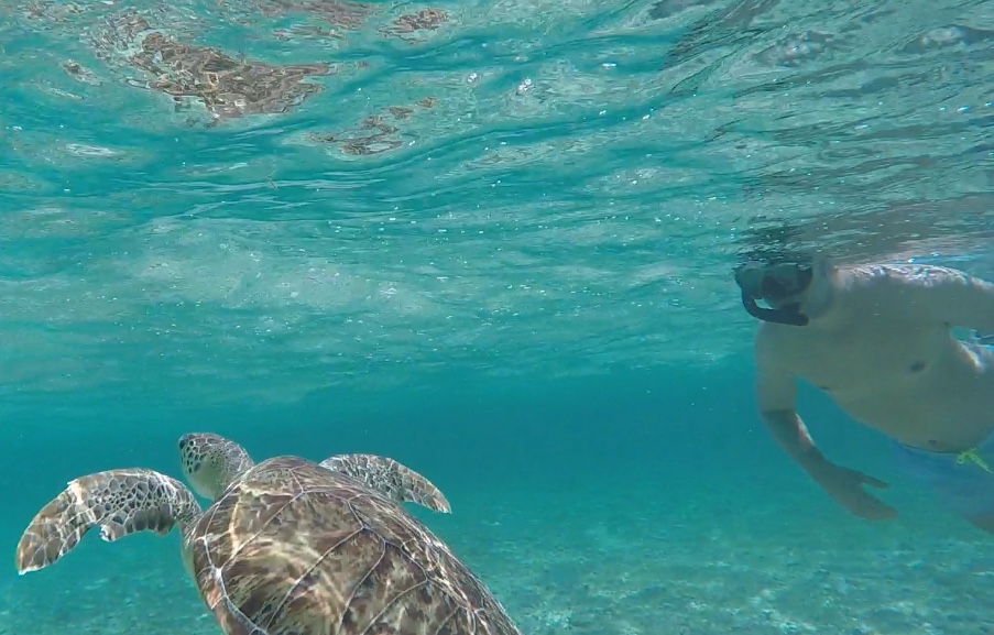 Snorkeling at Spott's Beach, Grand Cayman