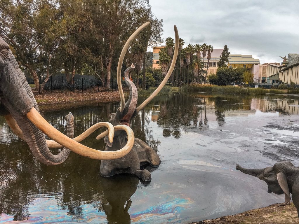 La Brea Tar Pits in Los Angeles, California