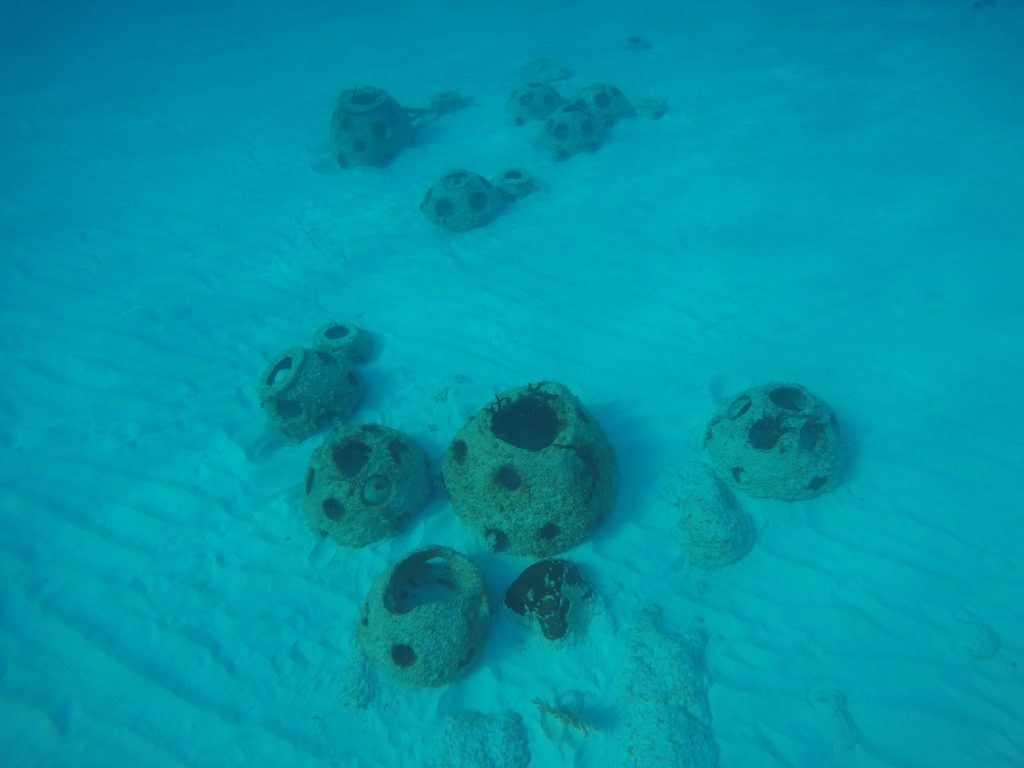 Swimming at Cemetery Beach in Grand Cayman