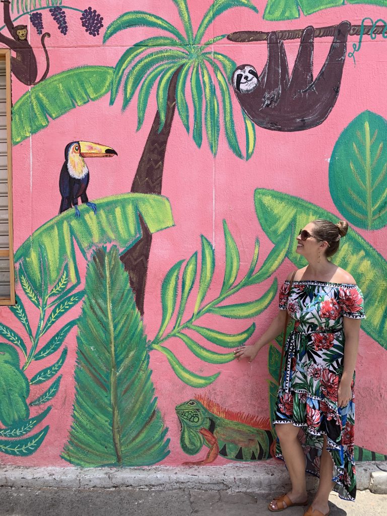 Jungle animals mural in Getsemani, Cartagena