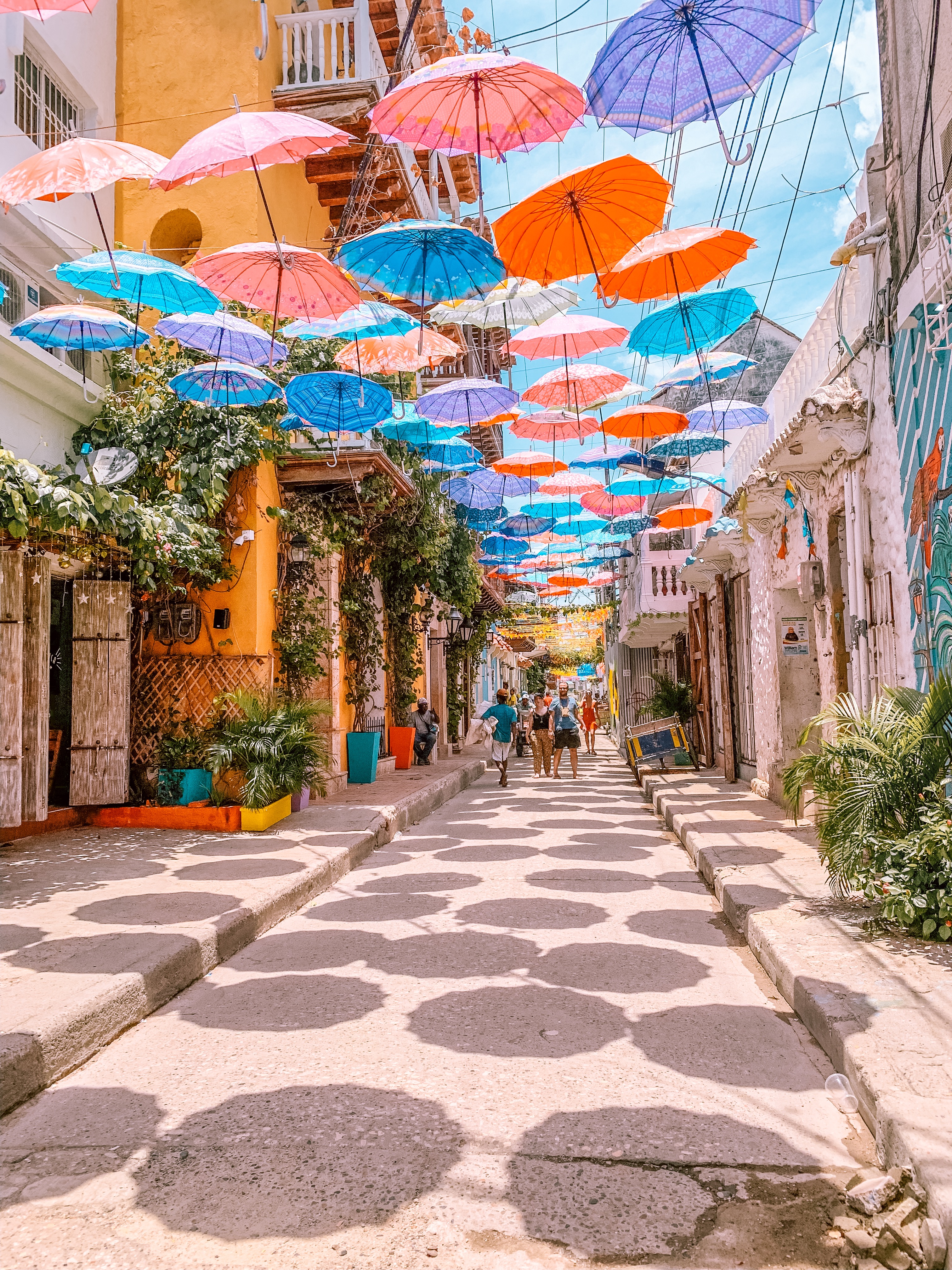 Umbrella-covered street in Getsemani (Cartagena, Colombia) - Married 