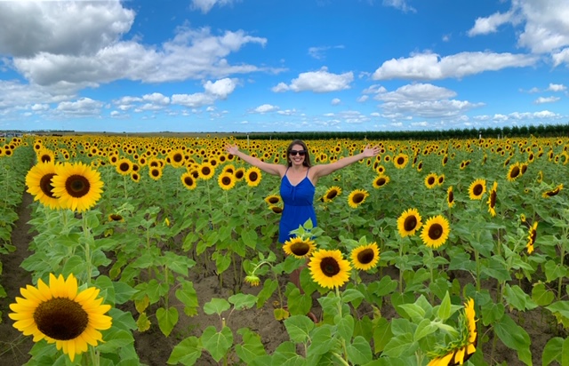 A spectacular sunflower field in Florida