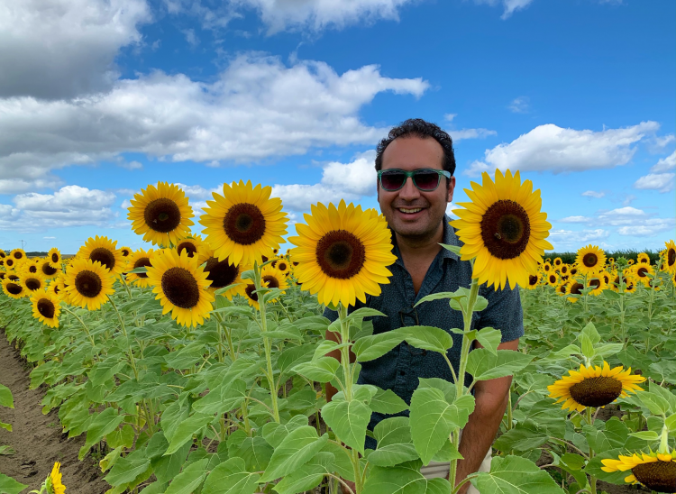 Wandering a Sunflower Field in Florida - Married with Wanderlust