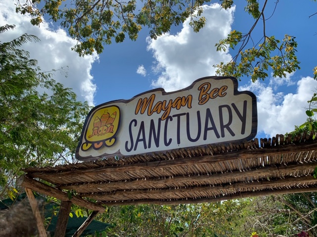 Mayan Bee Sanctuary
